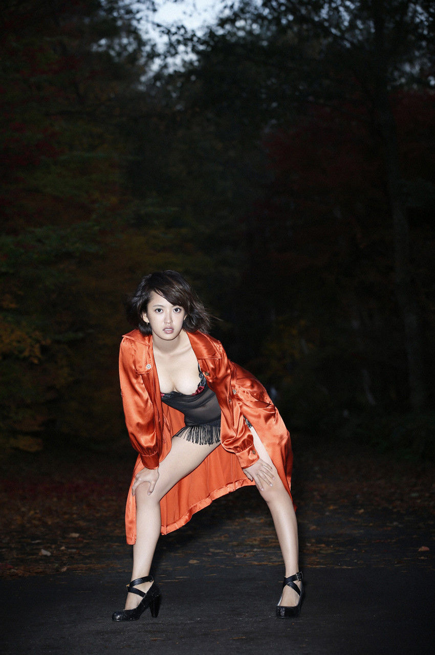 夏菜《The Gravure~最終章~》 [WPB-net] No.166