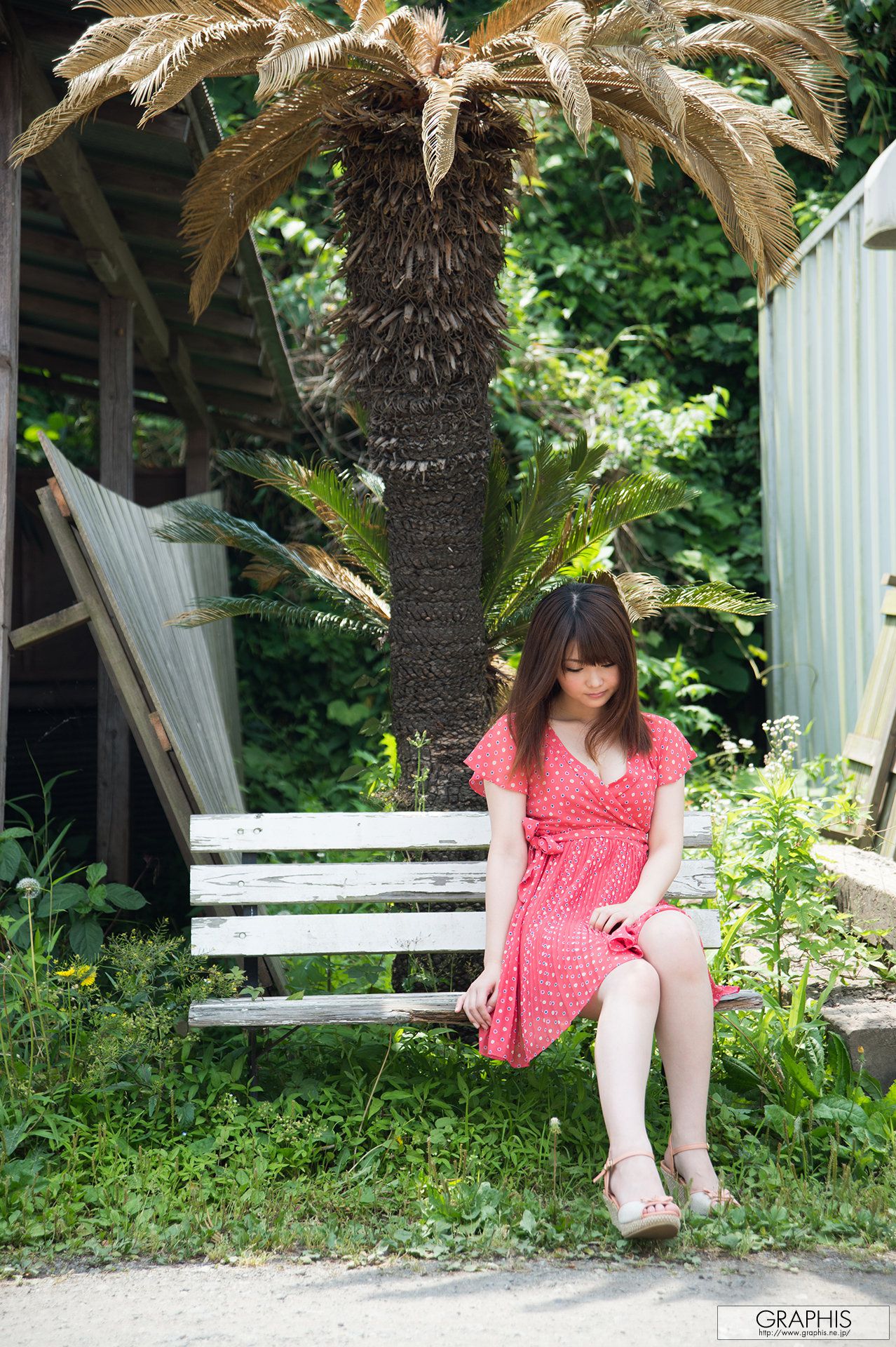 妃月るい/妃月留衣《Wildcat》 [Graphis] Gals
