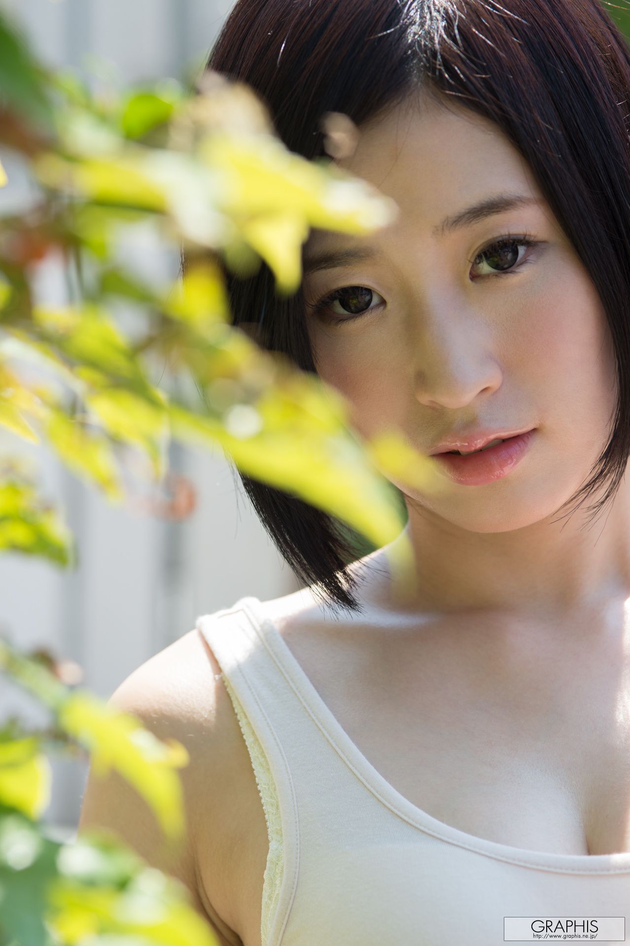 今永さな/今永纱奈《White Camellia》 [Graphis] Gals