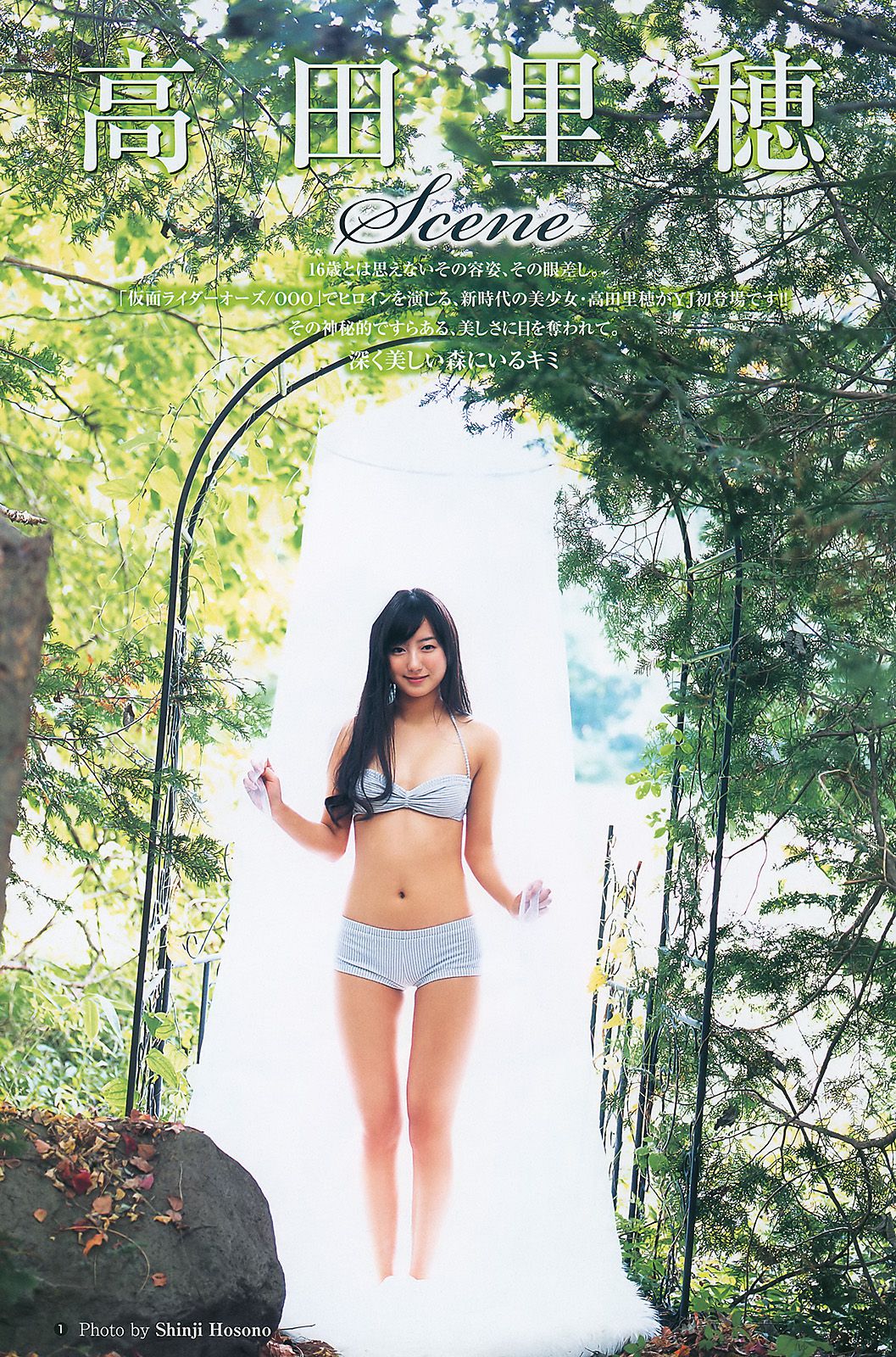 有村架純 高田里穂 [Weekly Young Jump] 2011年No.01 写真杂志