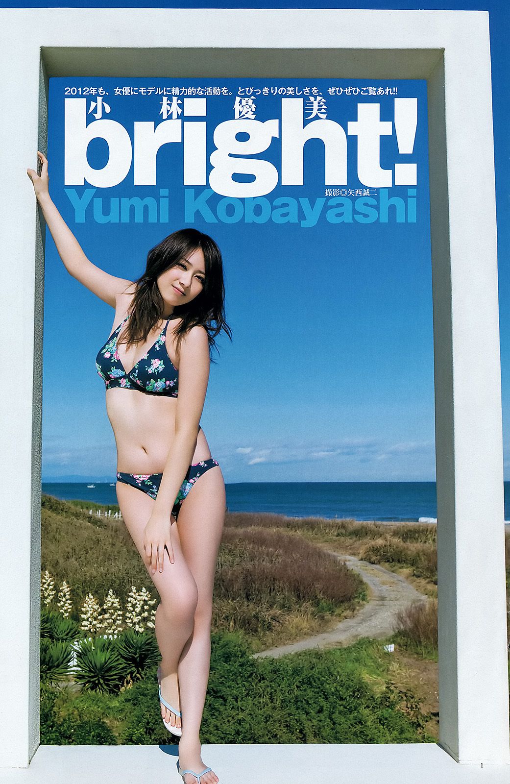 夏菜 小林優美 日南響子 [Weekly Young Jump] 2012年No.09 写真杂志