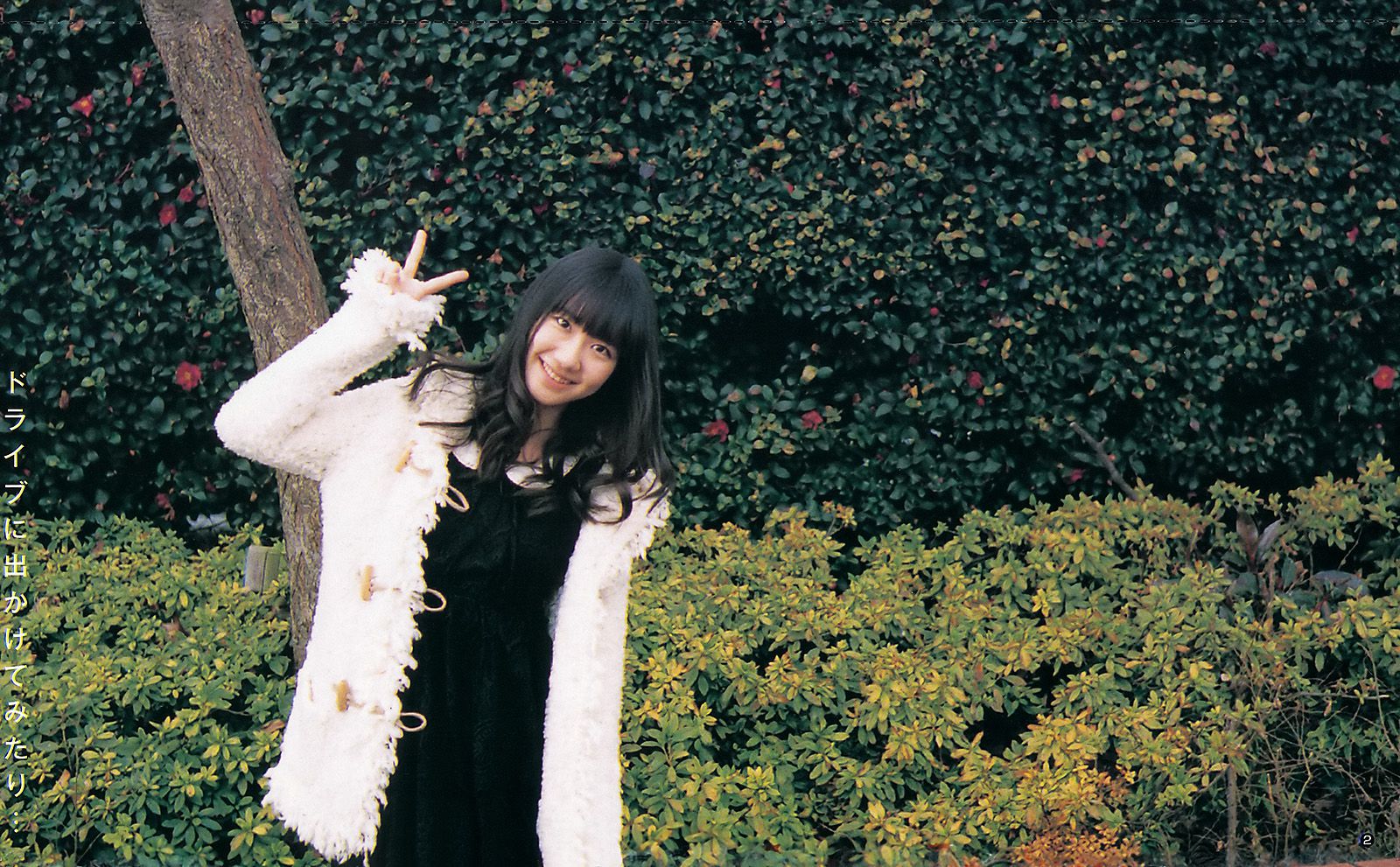 鈴木愛理 柏木由紀 疋田英美 [Weekly Young Jump] 2012年No.20 写真杂志