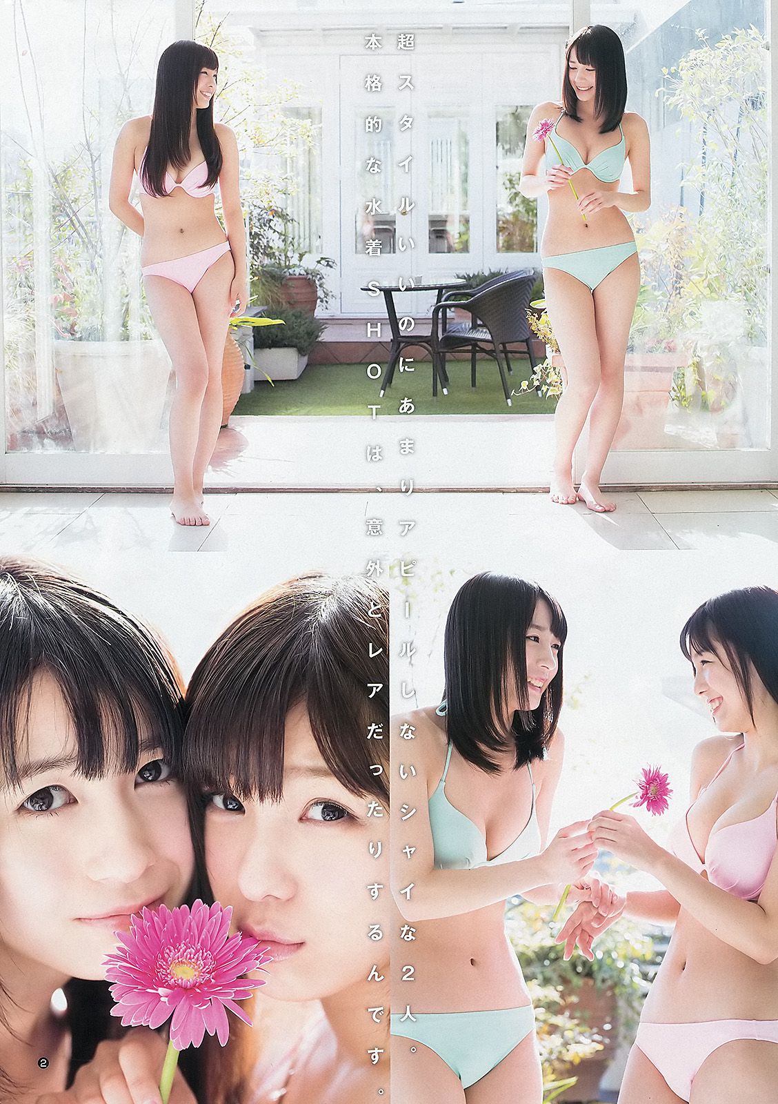 島崎遙香 小嶋菜月 佐々木優佳里 [週刊ヤングジャンプ] 2013年No.08 写真杂志