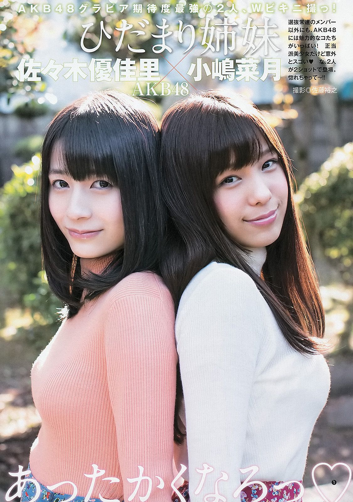 島崎遙香 小嶋菜月 佐々木優佳里 [週刊ヤングジャンプ] 2013年No.08 写真杂志
