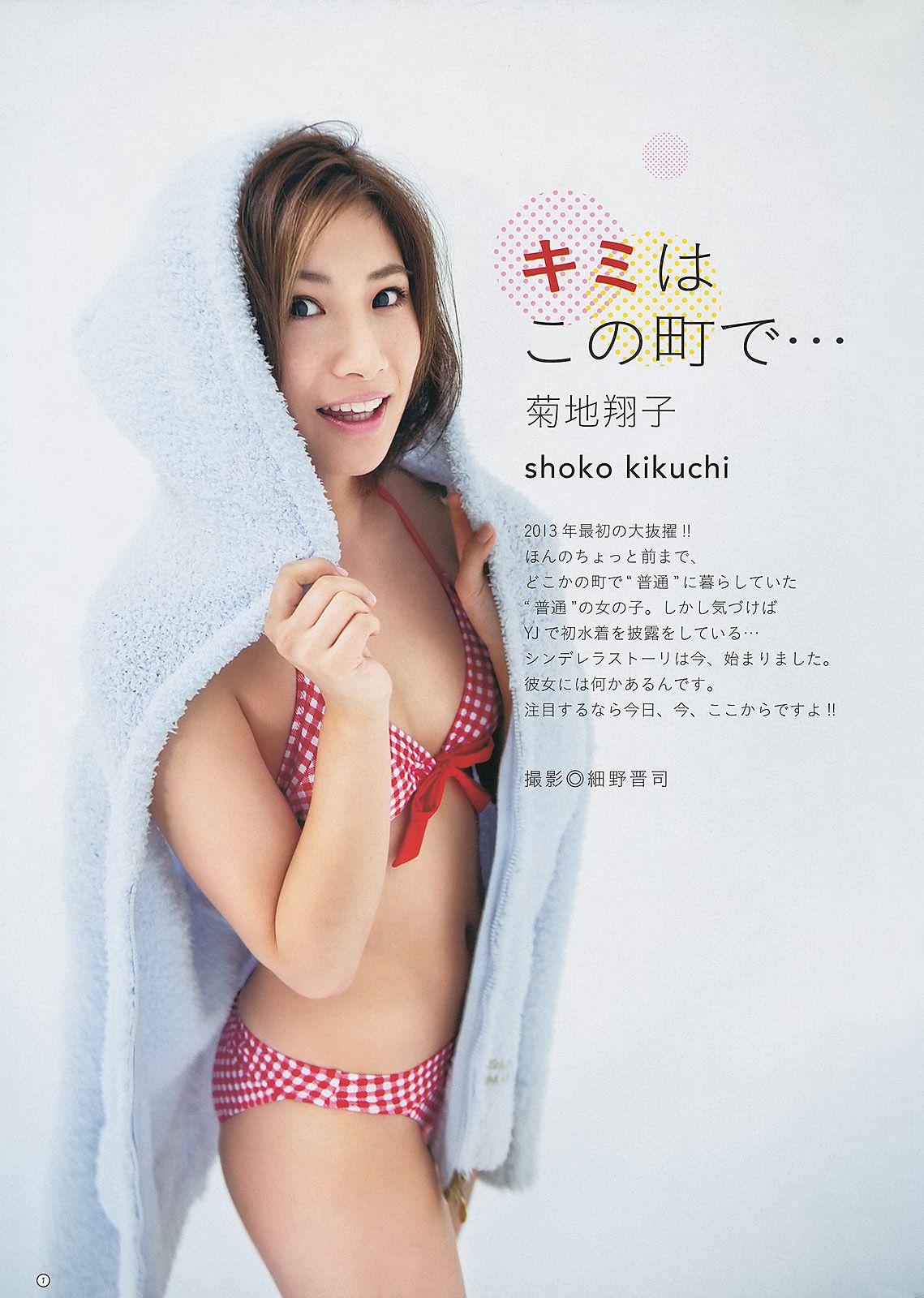 小嶋陽菜 入山杏奈 菊地翔子 [Weekly Young Jump] 2013年No.13 写真杂志