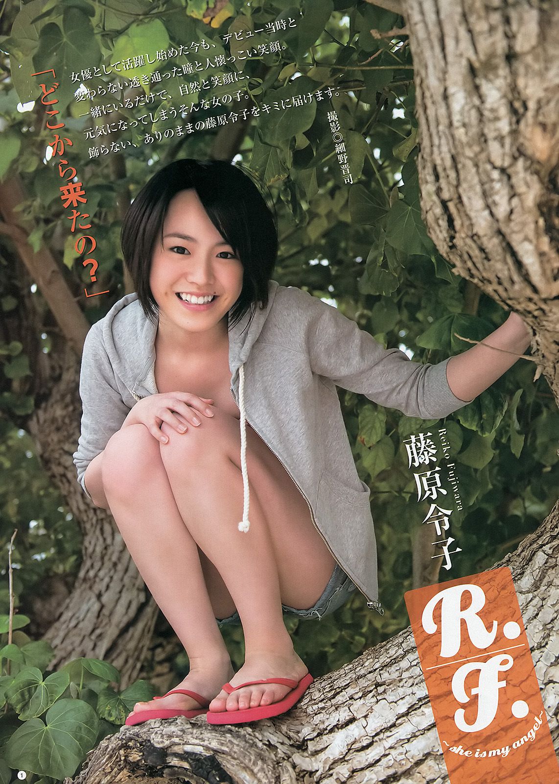 鬼头桃菜 倉持明日香 深谷理紗 藤原令子 [Weekly Young Jump] 2013年No.26 写真杂志