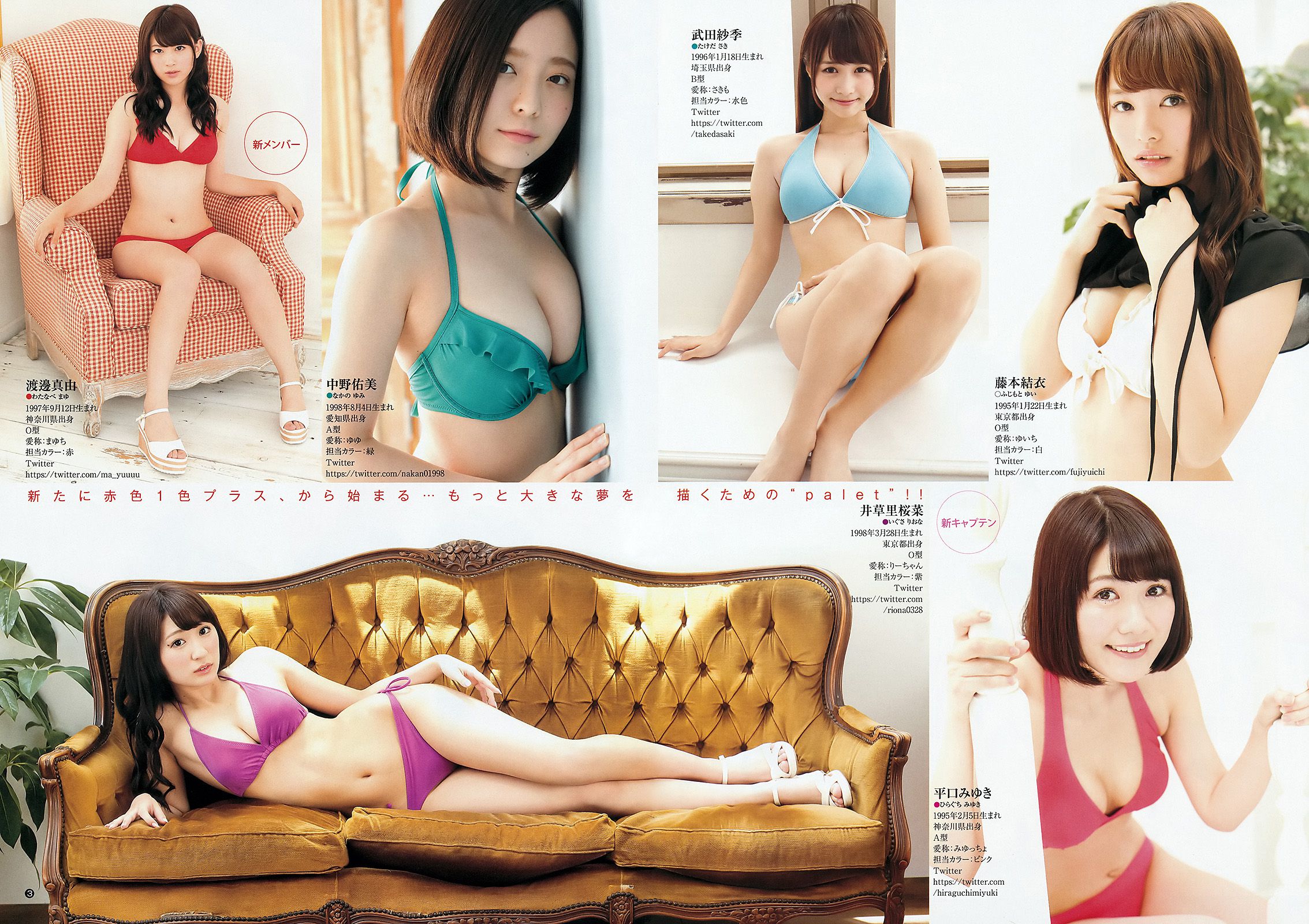 palet TOKYO IDOL FESTIVAL×YJ [Weekly Young Jump] 2015年No.35 写真杂志