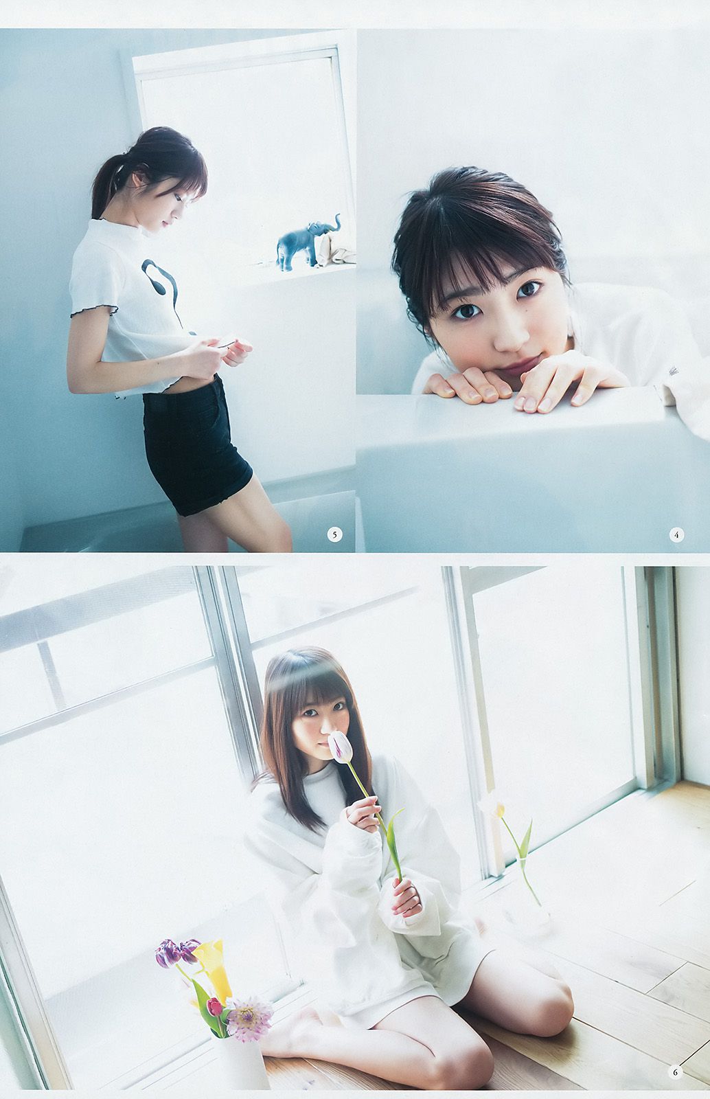 西野七瀬 齋藤飛鳥 若月佑美 与田祐希 [Weekly Young Jump] 2017年No.22-23 写真杂志