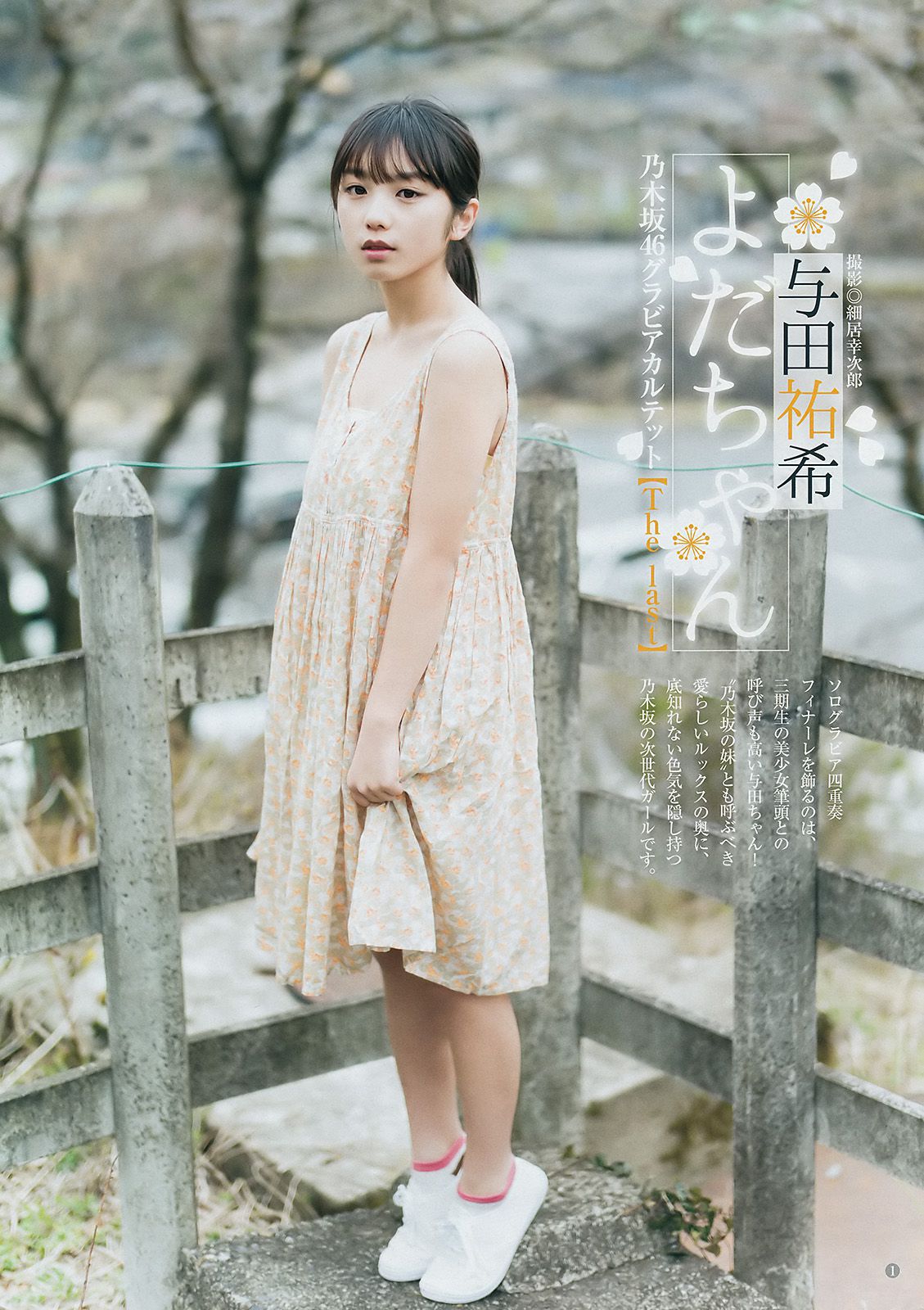 西野七瀬 齋藤飛鳥 若月佑美 与田祐希 [Weekly Young Jump] 2017年No.22-23 写真杂志