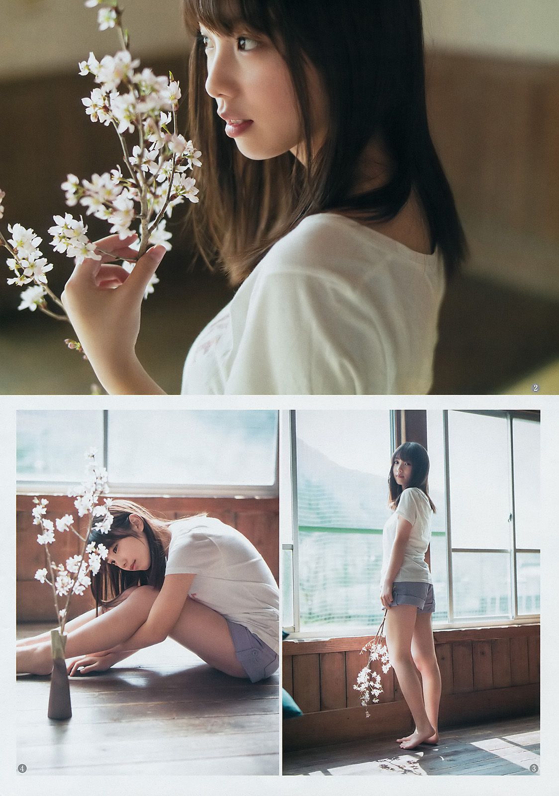 西野七瀬 齋藤飛鳥 若月佑美 与田祐希 [Weekly Young Jump] 2017年No.22-23 写真杂志
