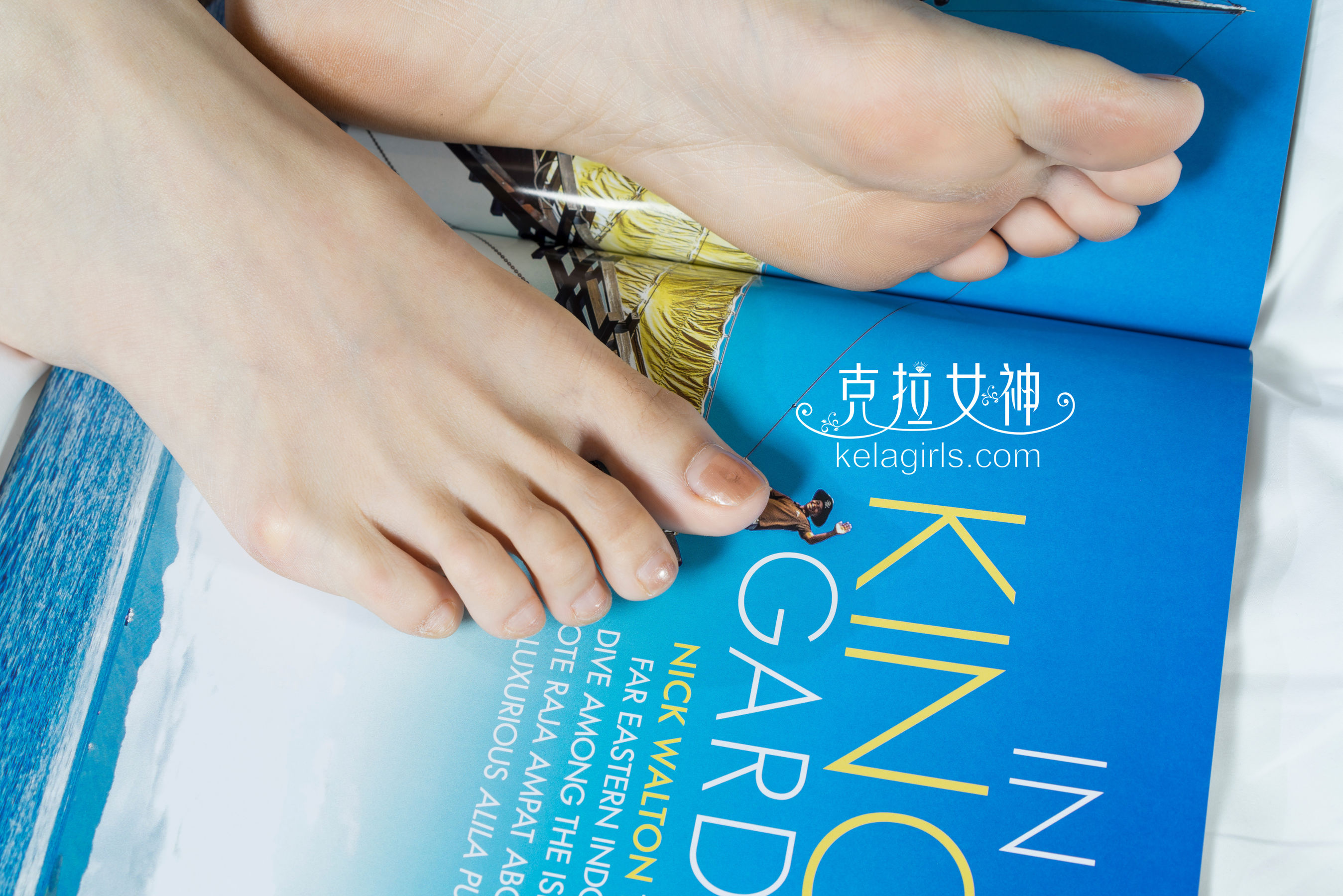 若菲《踏浪飞仙》 [克拉女神]