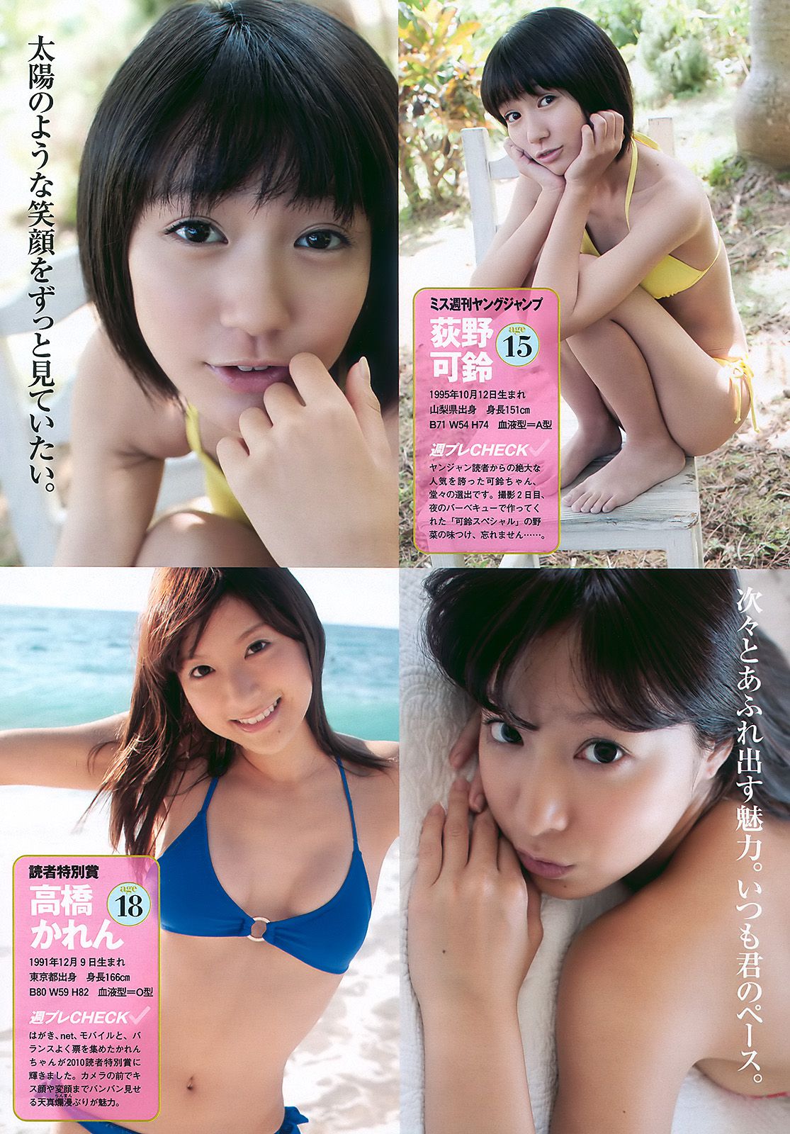 グラビアJAPAN 宮崎麗香 谷桃子 甲斐まり恵 森崎友紀 伊達あい [Weekly Playboy] 2010年No.46 写真杂志