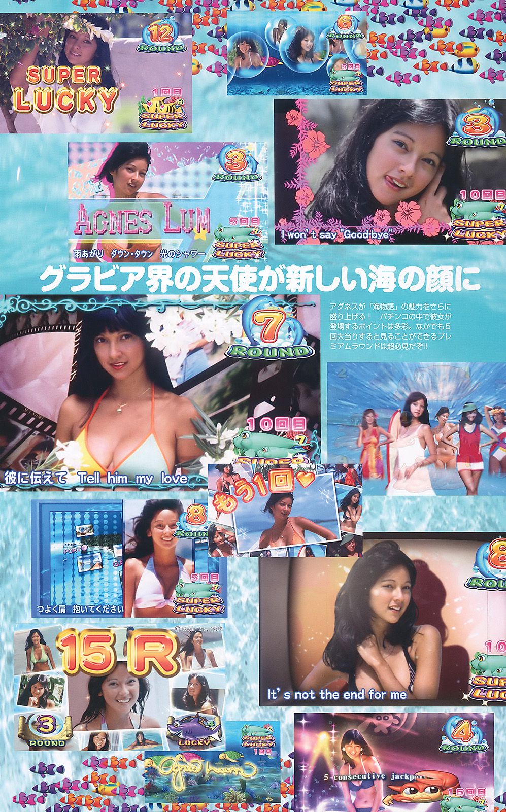 平野綾 AKB48 佐藤寛子 西田麻衣 森崎友紀 Agnes Lum [Weekly Playboy] 2010年No.51 写真杂志