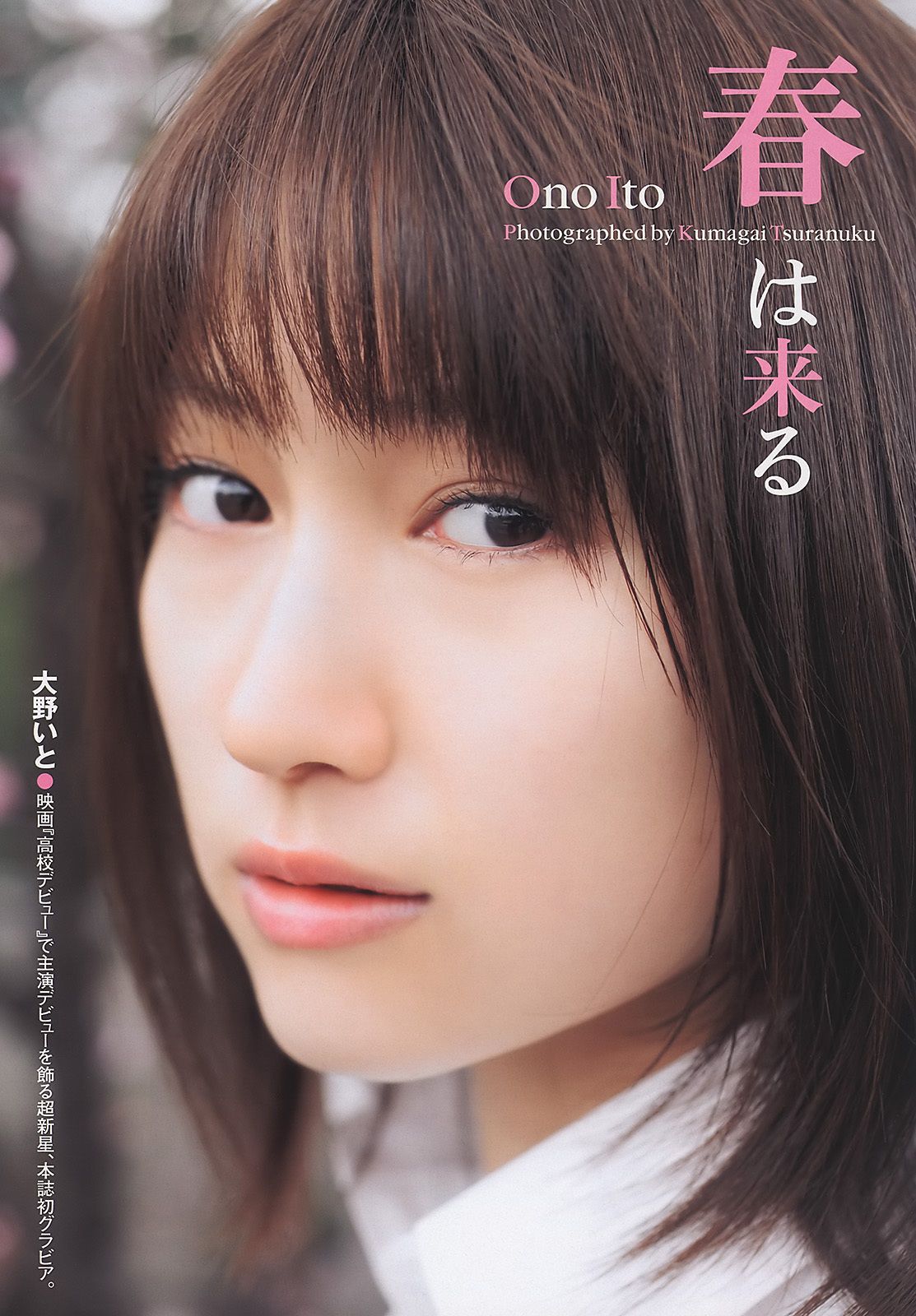 吉高由里子 吉木りさ 周韦彤 桃瀬美咲 足立梨花 森田凉花 大野いと SDN48 [Weekly Playboy] 2011年No.15 写真杂志