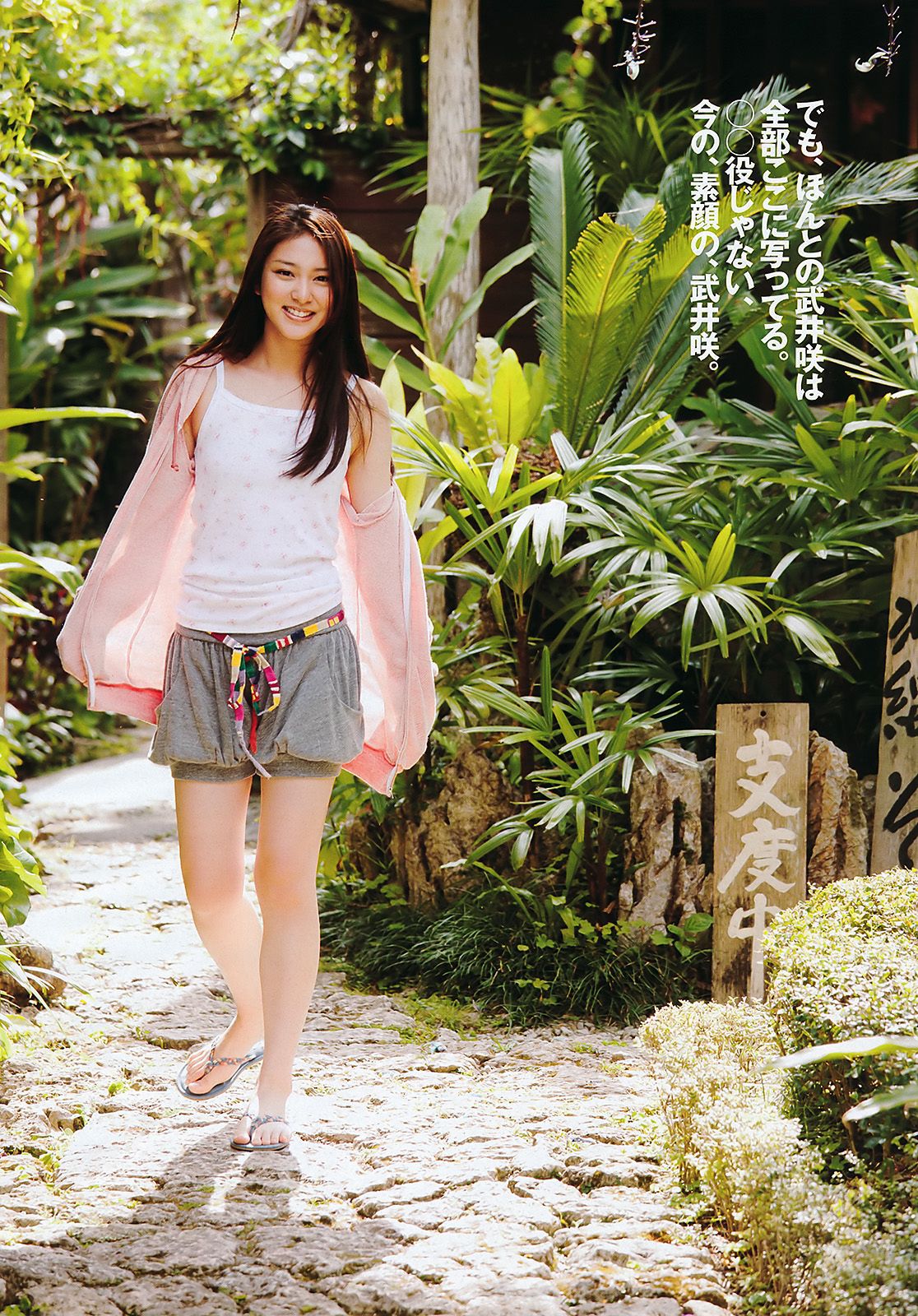 AKB48 武井咲 荻野可鈴 川村ゆきえ 篠崎愛 吉井怜 [Weekly Playboy] 2011年No.29 写真杂志