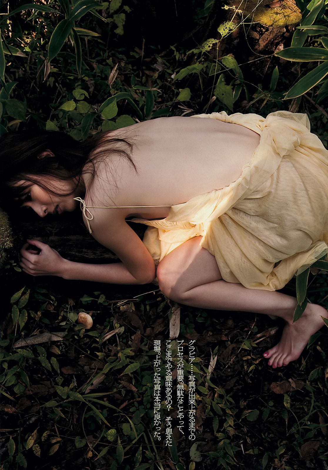 深田恭子 小林恵美 市川由衣 青野未来 AKB48 吉田沙世 栗田恵美 [Weekly Playboy] 2012年No.48 写真杂志