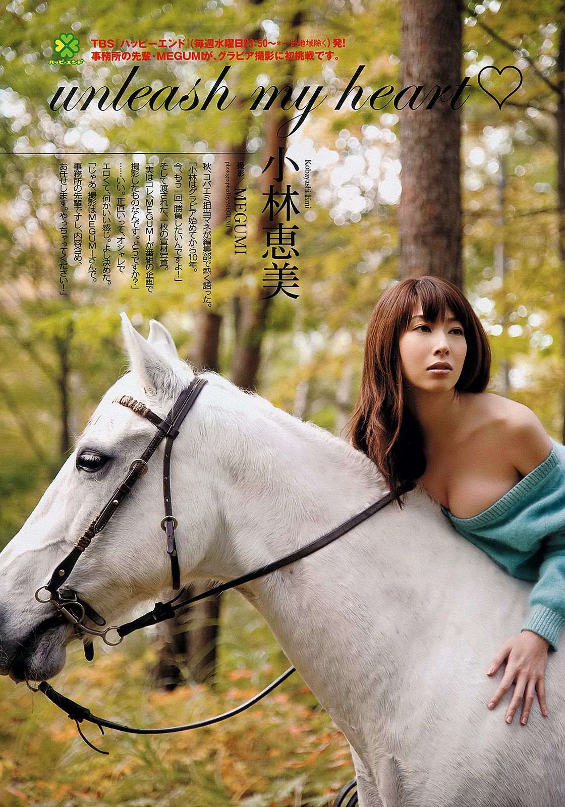深田恭子 小林恵美 市川由衣 青野未来 AKB48 吉田沙世 栗田恵美 [Weekly Playboy] 2012年No.48 写真杂志