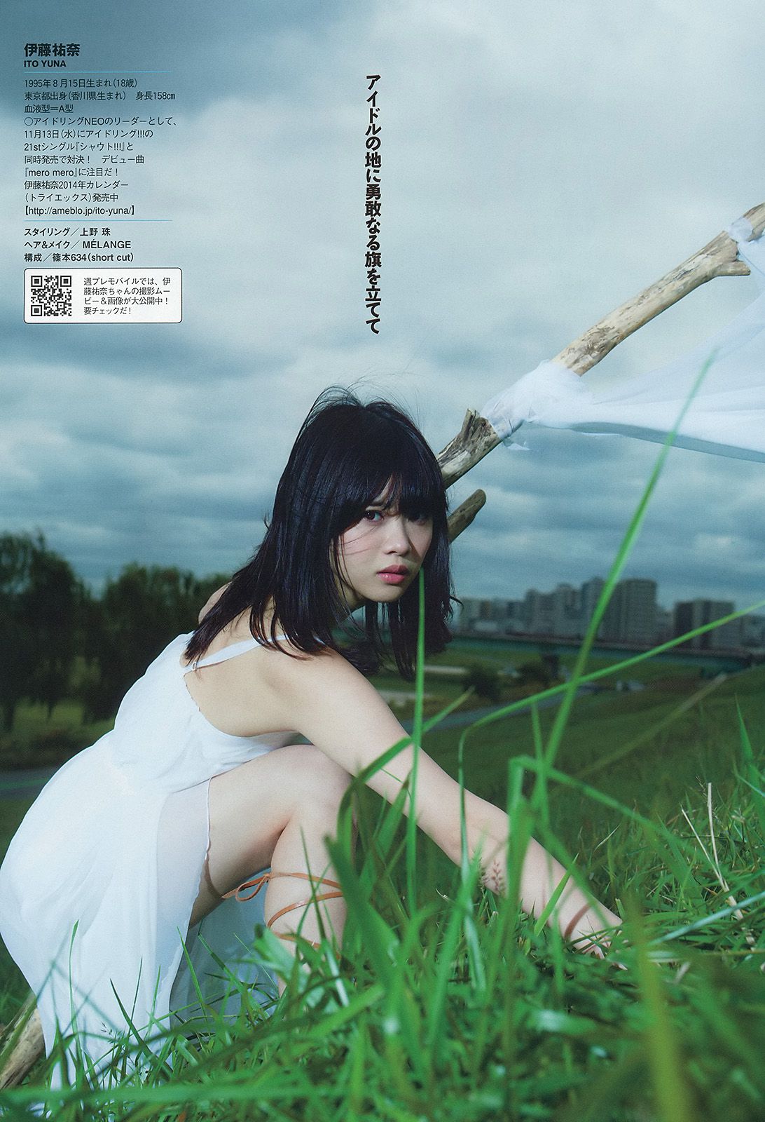 夏菜 有村架純 西崎莉麻 伊藤祐奈 安達祐実 KONAN 戸田れい 愛菜 小宮有紗 [Weekly Playboy] 2013年No.47 写真杂志