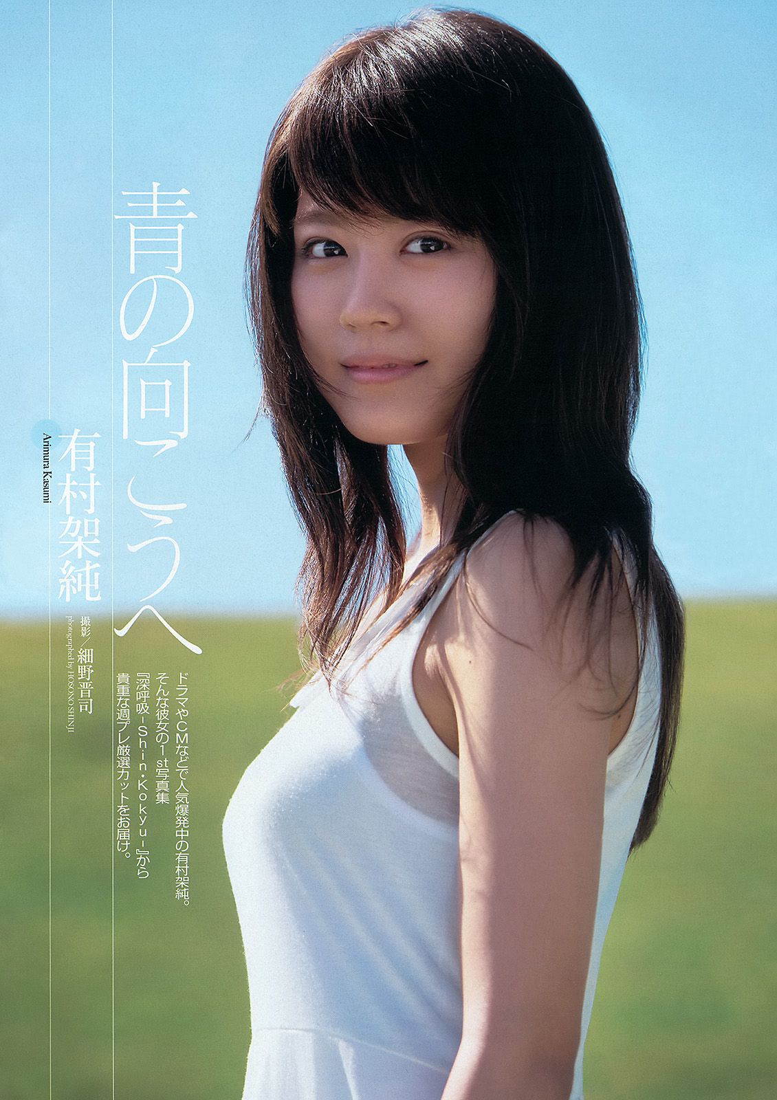 夏菜 有村架純 西崎莉麻 伊藤祐奈 安達祐実 KONAN 戸田れい 愛菜 小宮有紗 [Weekly Playboy] 2013年No.47 写真杂志