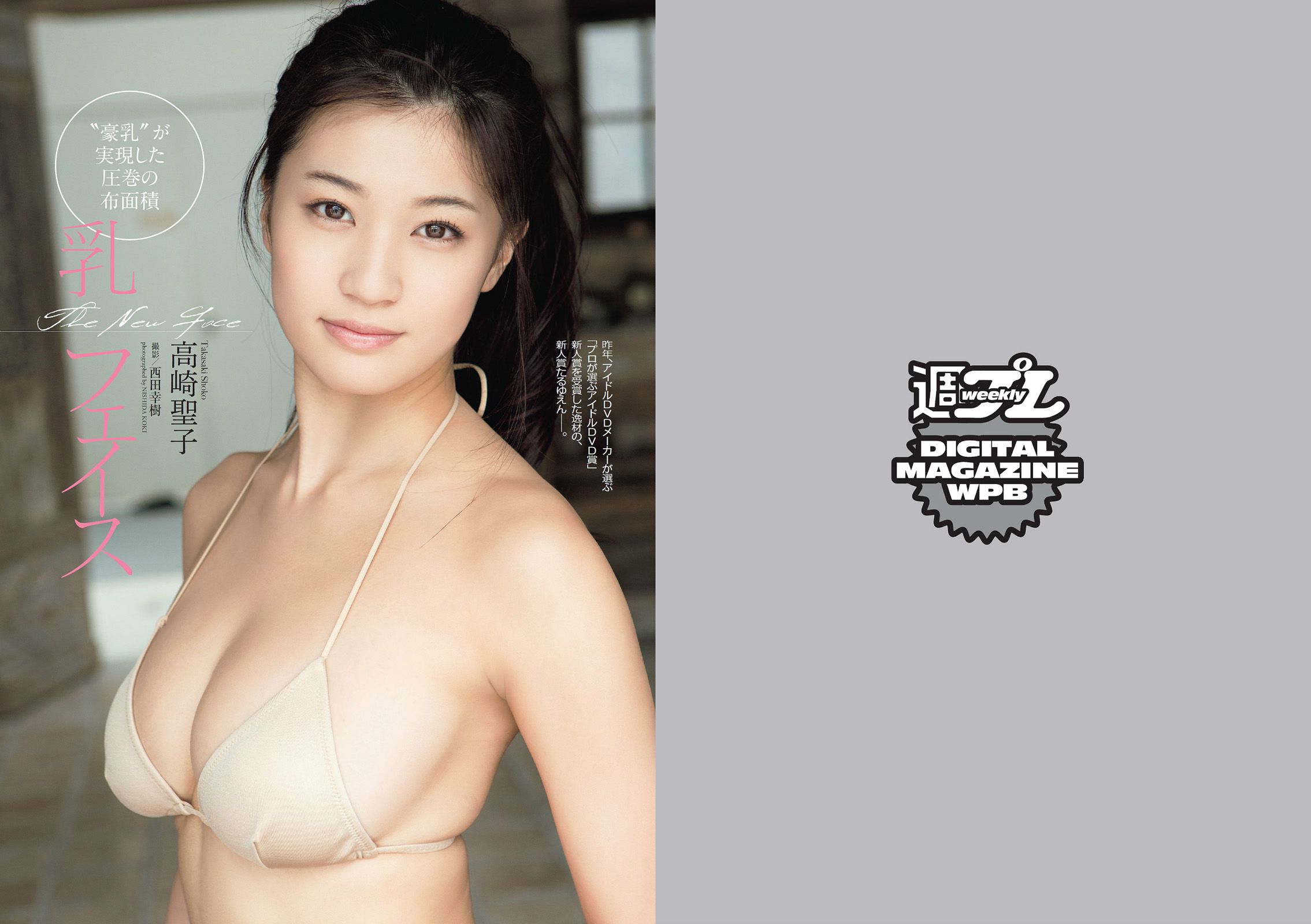 菜々緒 松井玲奈 足立梨花 澤田夏生 高崎聖子 御伽ねこむ 北山詩織 小島みなみ 成宮ルリ [Weekly Playboy] 2014年No.14 写真杂志