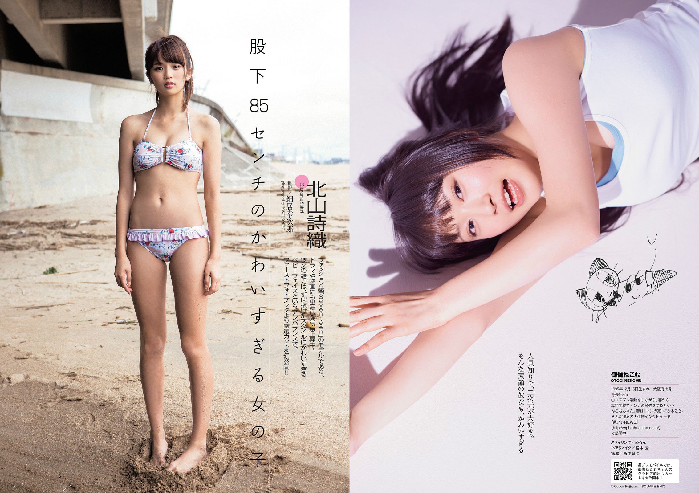 菜々緒 松井玲奈 足立梨花 澤田夏生 高崎聖子 御伽ねこむ 北山詩織 小島みなみ 成宮ルリ [Weekly Playboy] 2014年No.14 写真杂志