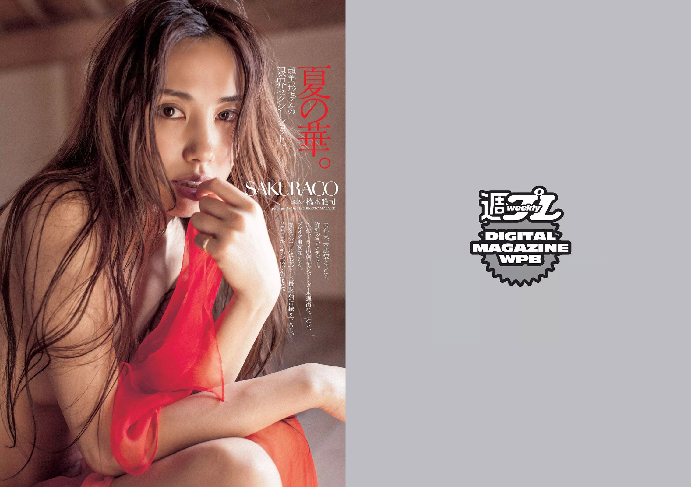 SKE48 相楽樹 吉岡里帆 脊山麻理子 SAKURACO 橘花凛 [Weekly Playboy] 2014年No.32 写真杂志