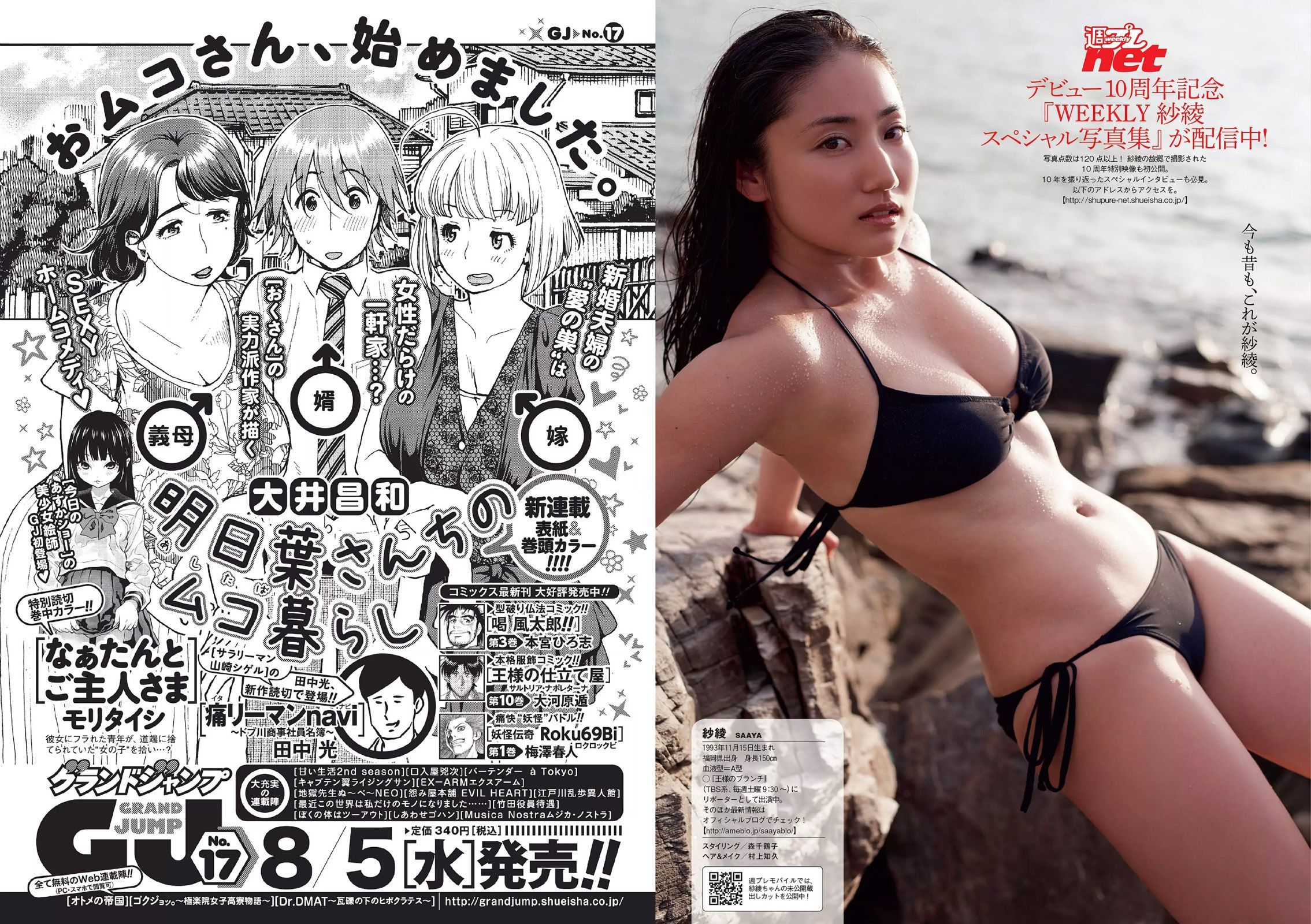 AKB48 三原勇希 松川佑依子 紗綾 岸明日香 松井玲奈 青山ひかる 寺田御子 [Weekly Playboy] 2015年No.33 写真杂志