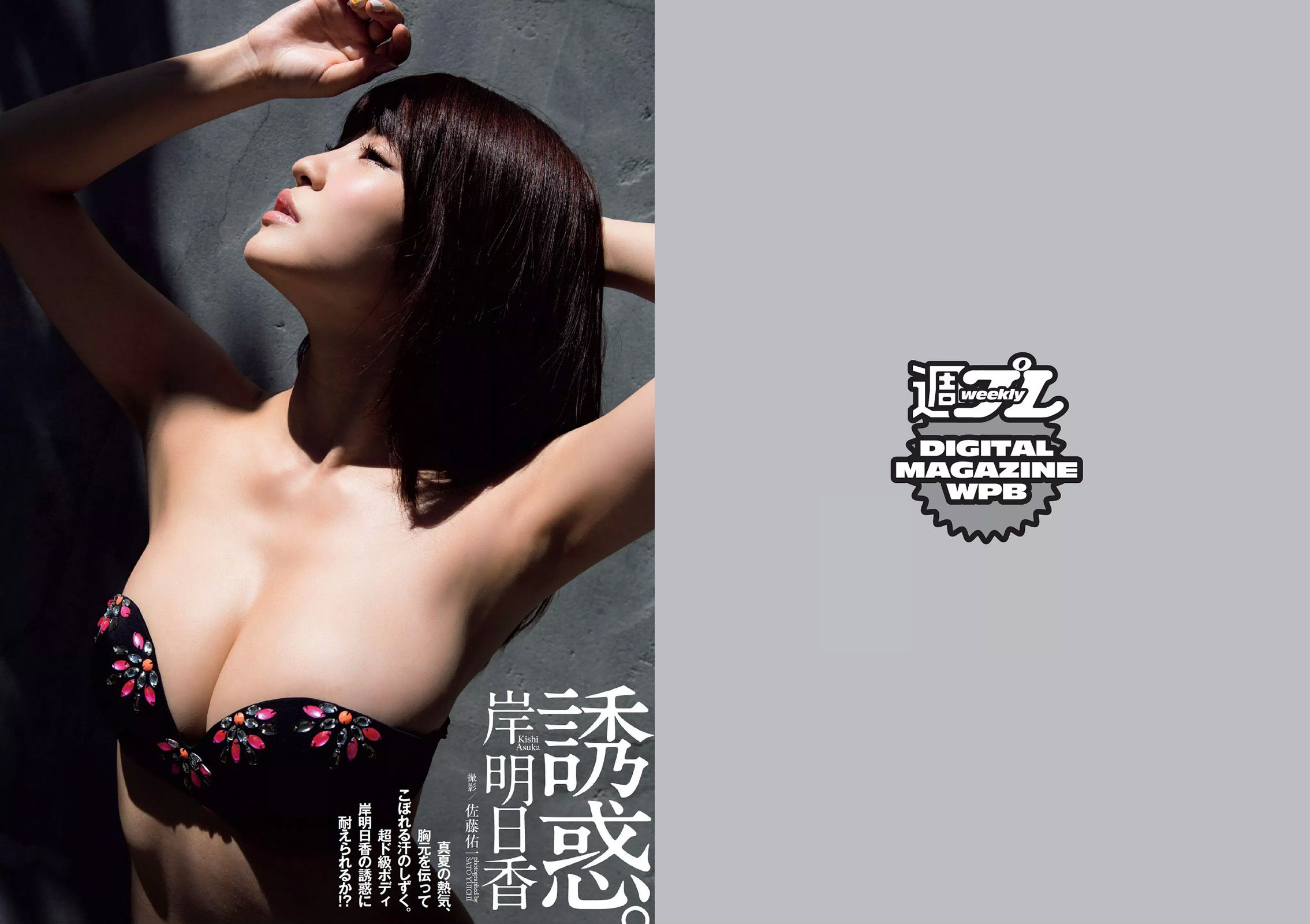 AKB48 三原勇希 松川佑依子 紗綾 岸明日香 松井玲奈 青山ひかる 寺田御子 [Weekly Playboy] 2015年No.33 写真杂志