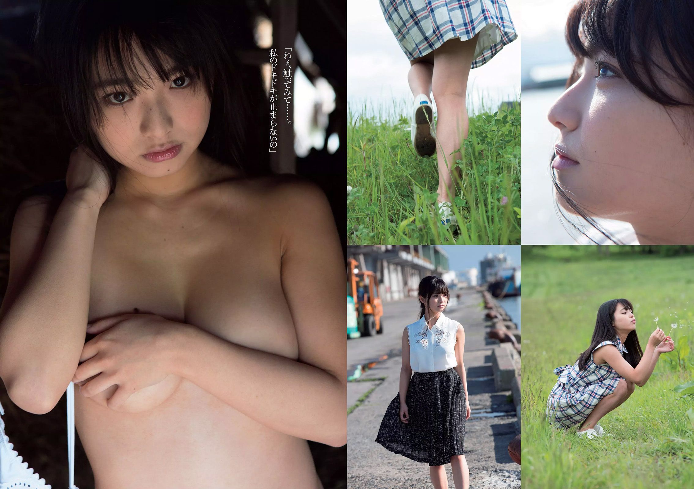 山地まり 柳ゆり菜 久松郁実 石川恋 橋本奈々未 藤田美里 AKB48 片岡沙耶 小田桐奈々 [Weekly Playboy] 2015年No.36 写真杂志