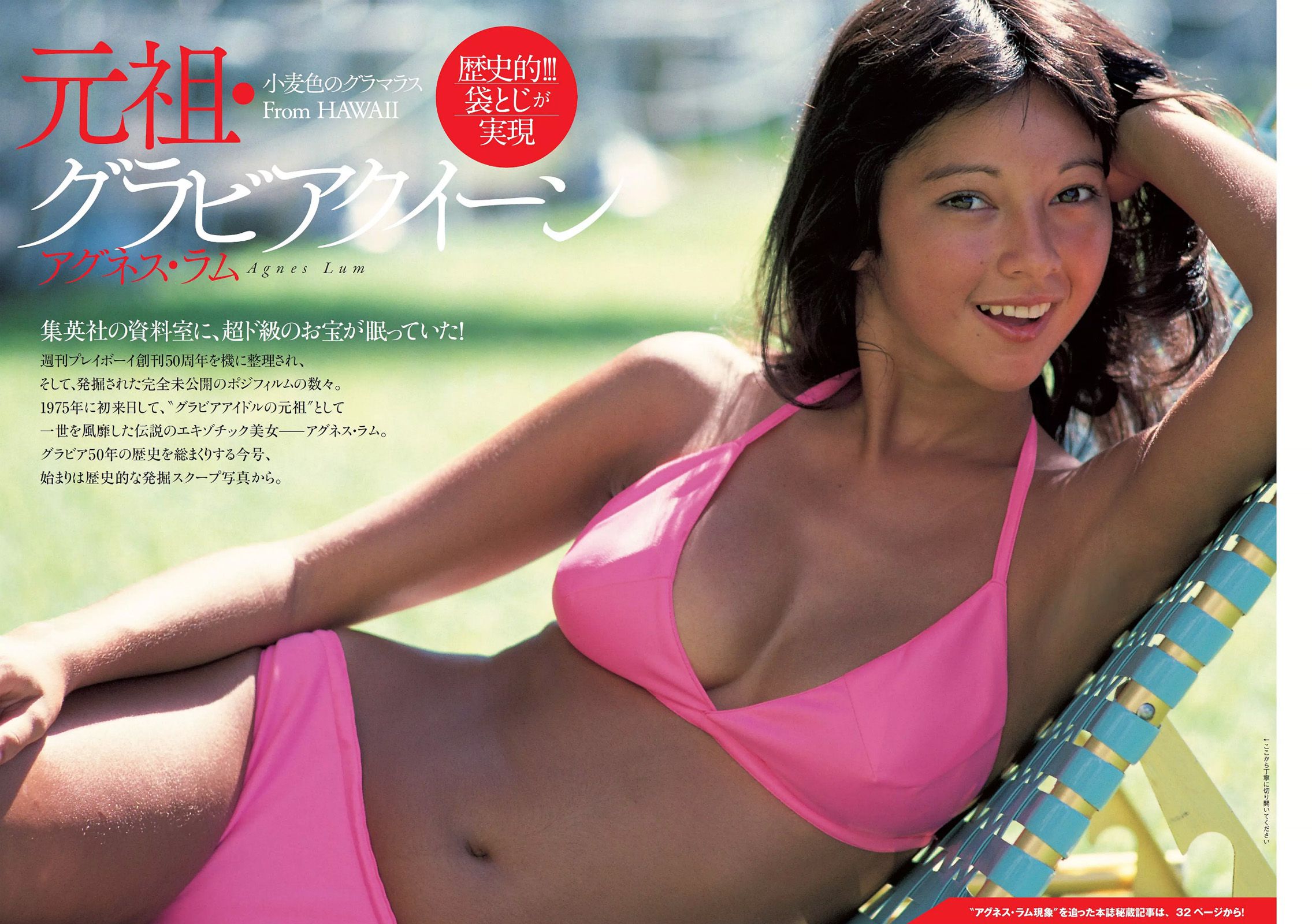 アグネス?ラム [Weekly Playboy] 2016年No.44 写真杂志