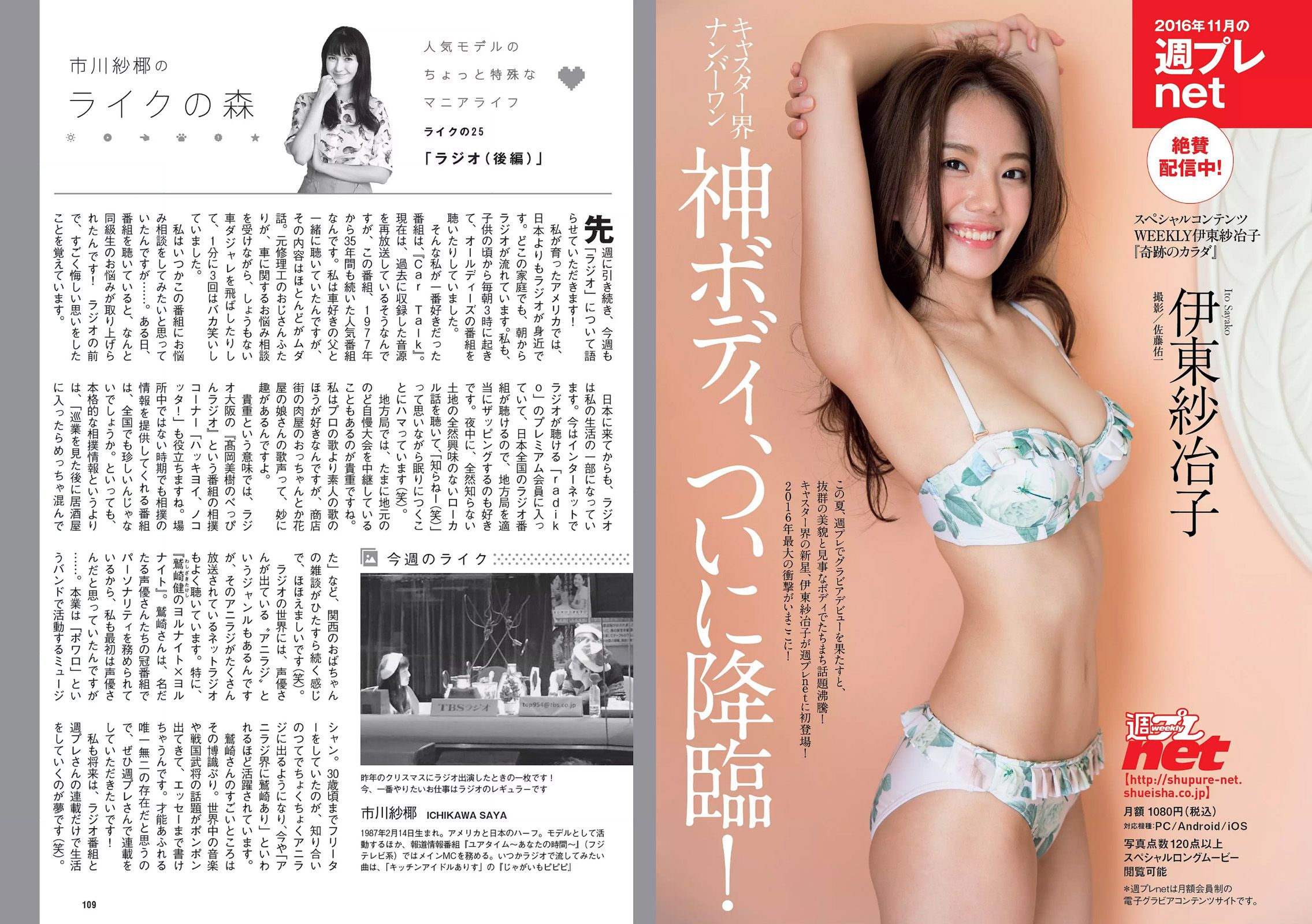 橋本奈々未 若尾綾香 筧美和子 竹内紫麻 柳ゆり菜 池上紗理依 石岡真衣 [Weekly Playboy] 2016年No.49 写真杂志