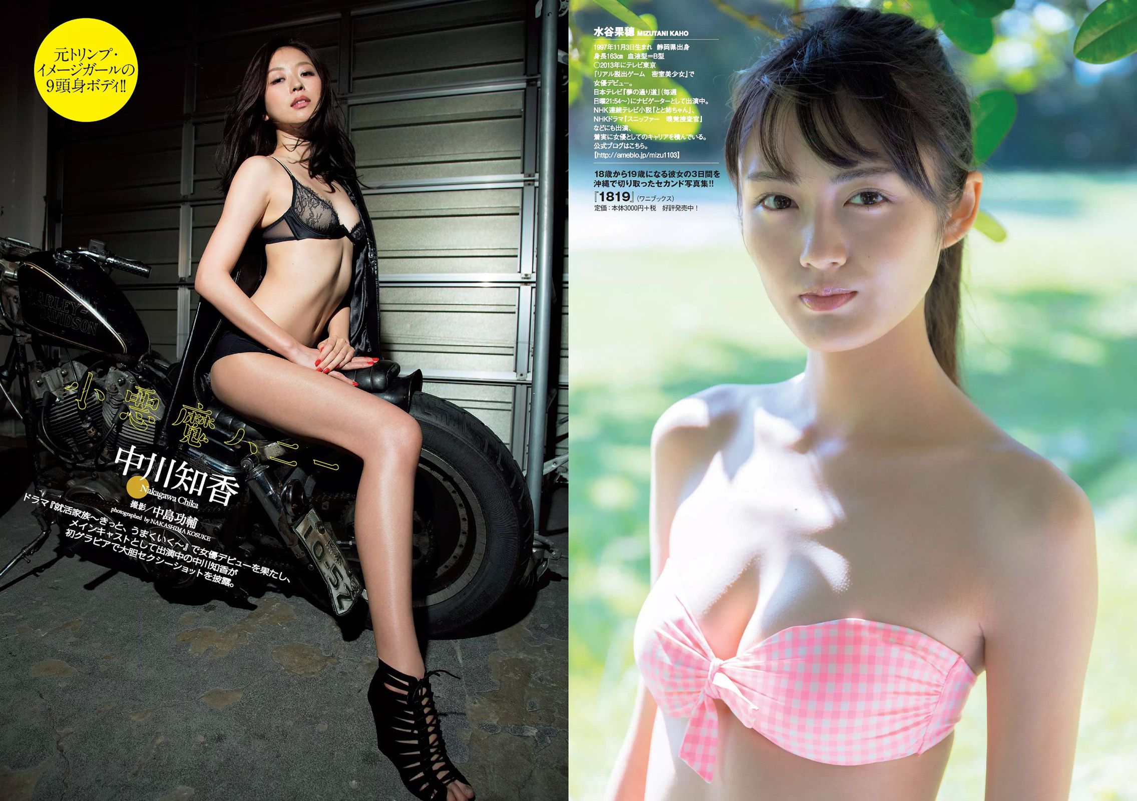 AKB48 本郷杏奈 芳根京子 白石あさえ 水谷果穂 中川知香 小日向結衣 [Weekly Playboy] 2017年No.06 写真杂志