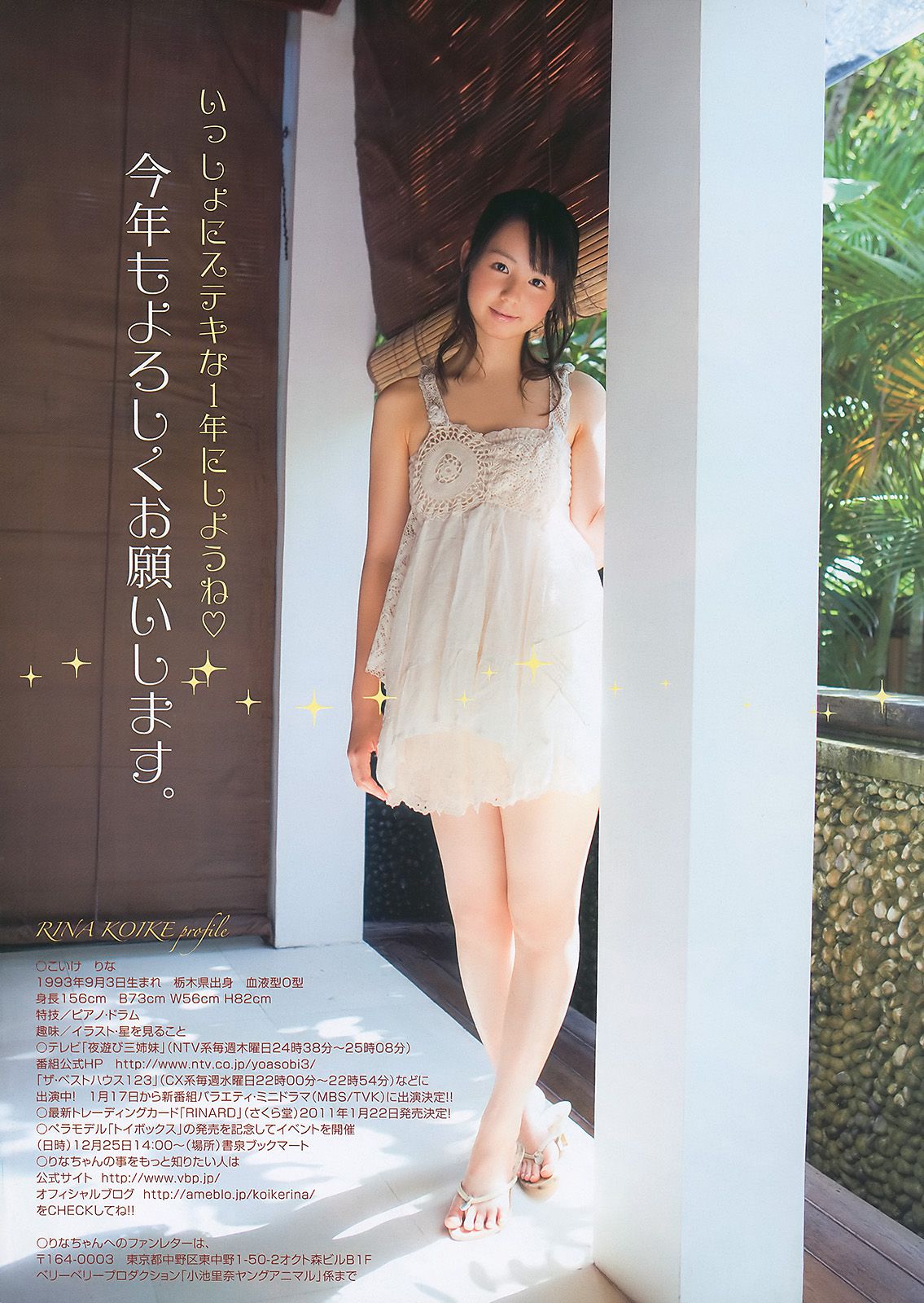 小池里奈 永瀬麻帆 大島麻衣 麻美ゆま 月野りさ [Young Animal] 2011年No.01 写真杂志