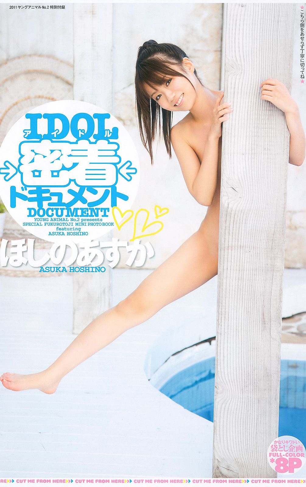 西田麻衣 浅倉結希 ほしのあすか 葵つかさ [Young Animal] 2011年No.02 写真杂志