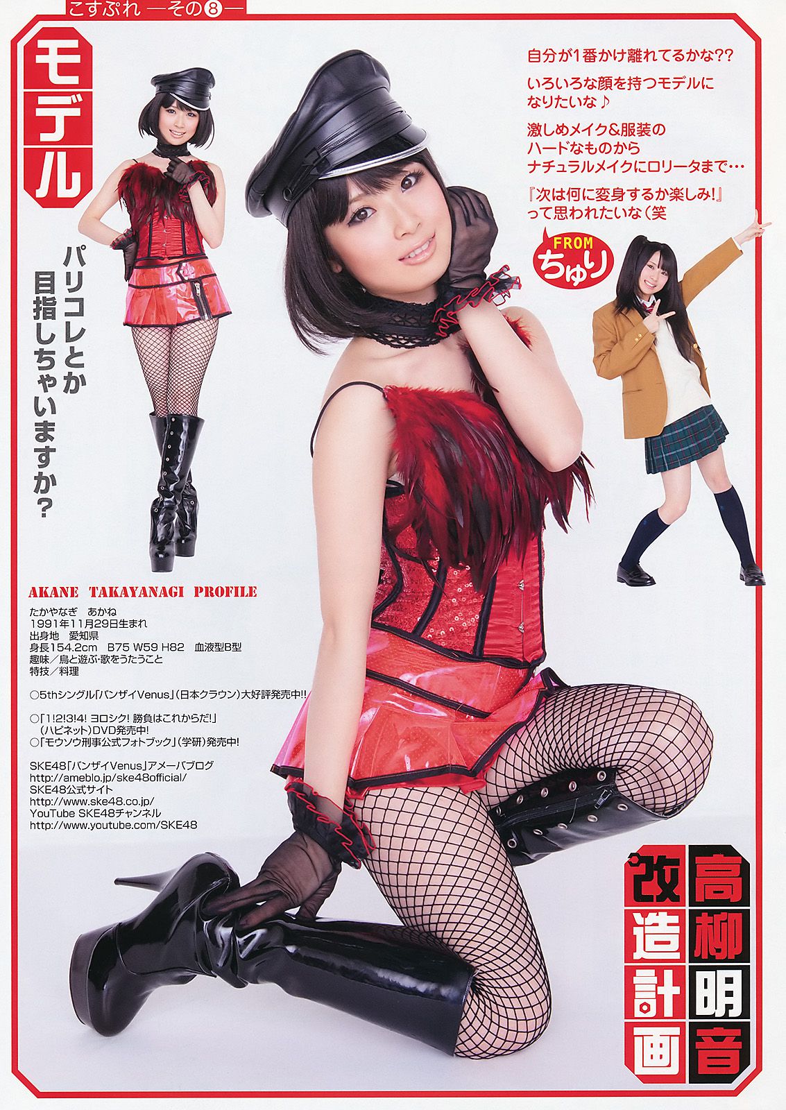 高柳明音 SKE48 藤井シェリー 麻倉憂 神咲詩織 [Young Animal] 2011年No.11 写真杂志