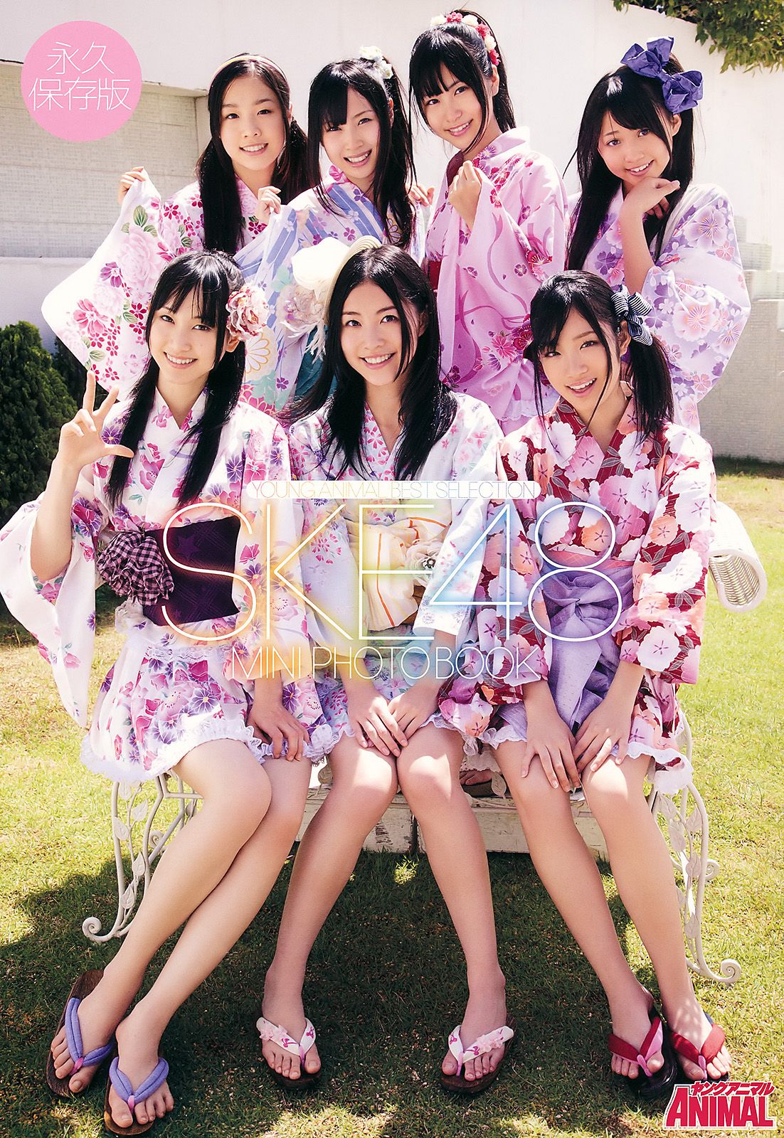 高柳明音 SKE48 藤井シェリー 麻倉憂 神咲詩織 [Young Animal] 2011年No.11 写真杂志