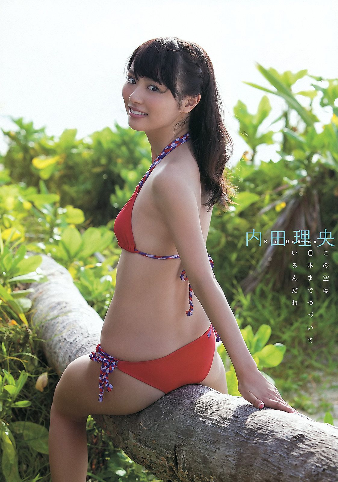 森田涼花 内田理央 绘色千佳 [Young Animal] 2011年No.24 写真杂志