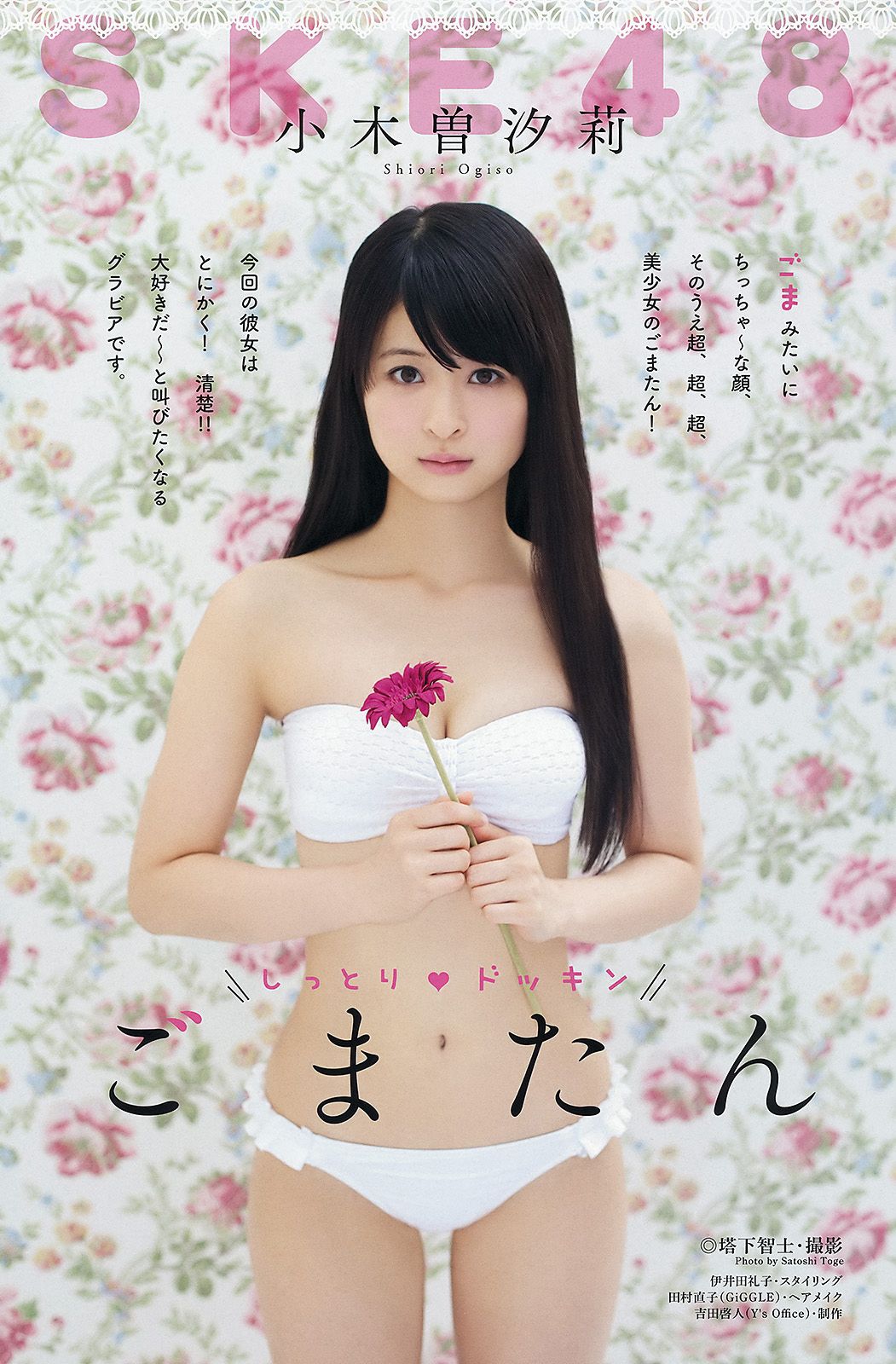 古川爱李 松井玲奈 小木曽汐莉 須田亜香里 [Young Animal] 2012年No.18 写真杂志