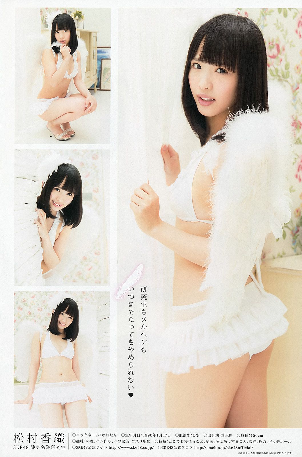 須田亜香里 高柳明音 木下有希子 大场美奈 松村香織 佐藤聖羅 鬼头桃菜 [Young Animal] 2013年No.14 写真杂志