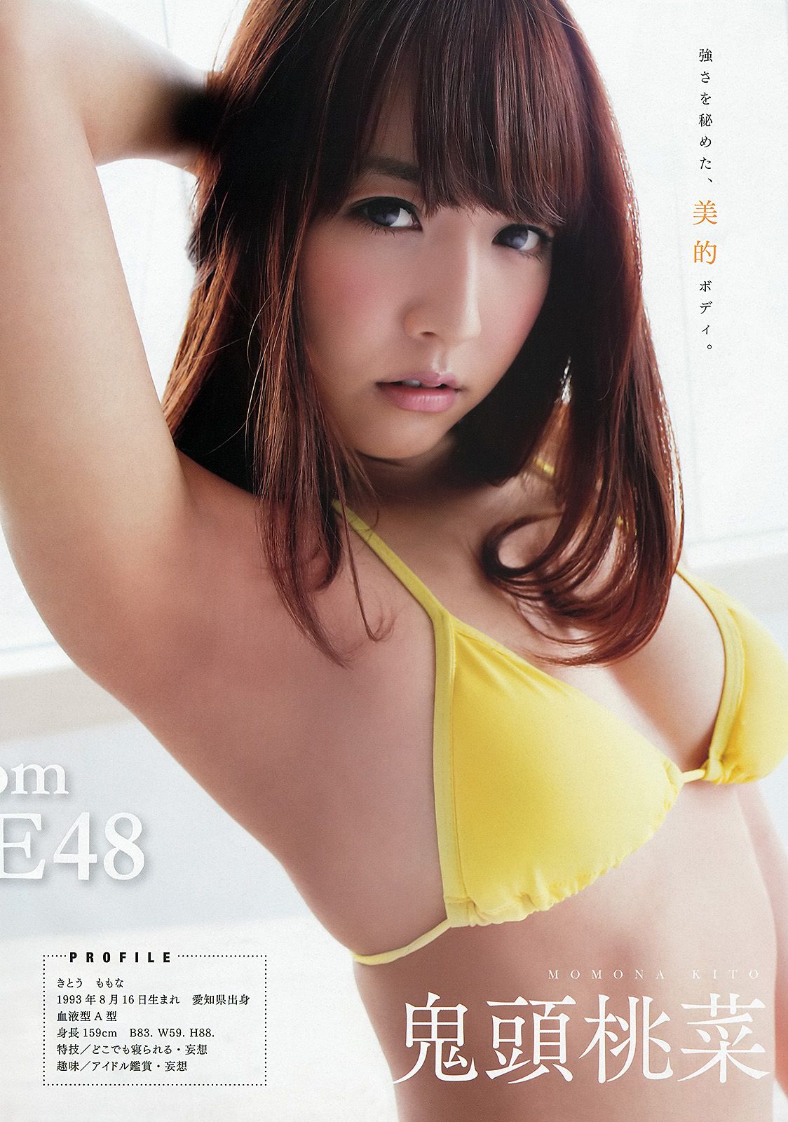 須田亜香里 高柳明音 木下有希子 大场美奈 松村香織 佐藤聖羅 鬼头桃菜 [Young Animal] 2013年No.14 写真杂志