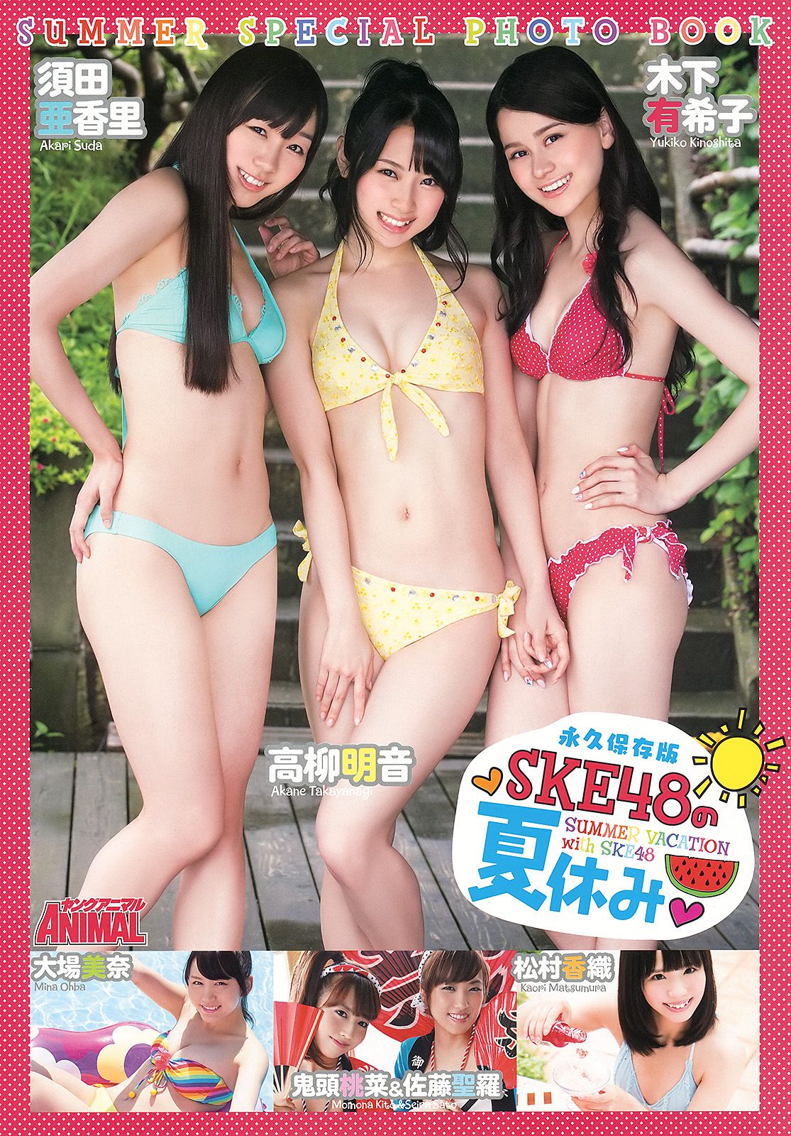 須田亜香里 高柳明音 木下有希子 大场美奈 松村香織 佐藤聖羅 鬼头桃菜 [Young Animal] 2013年No.14 写真杂志
