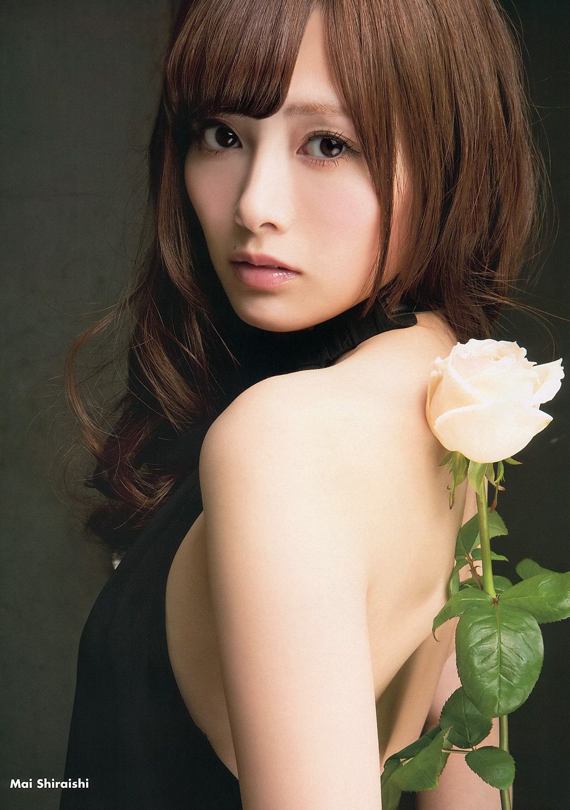 白石麻衣 桜井玲香 松村沙友理 須田亜香里 松村香織 [Young Animal] 2013年No.24 写真杂志