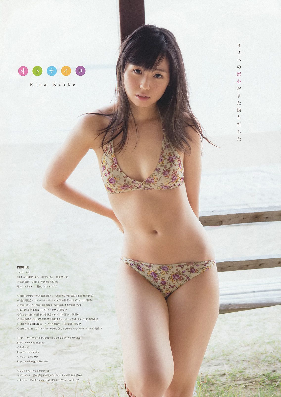 篠崎愛 小池里奈 喜屋武ちあき [Young Animal] 2014年No.01 写真杂志