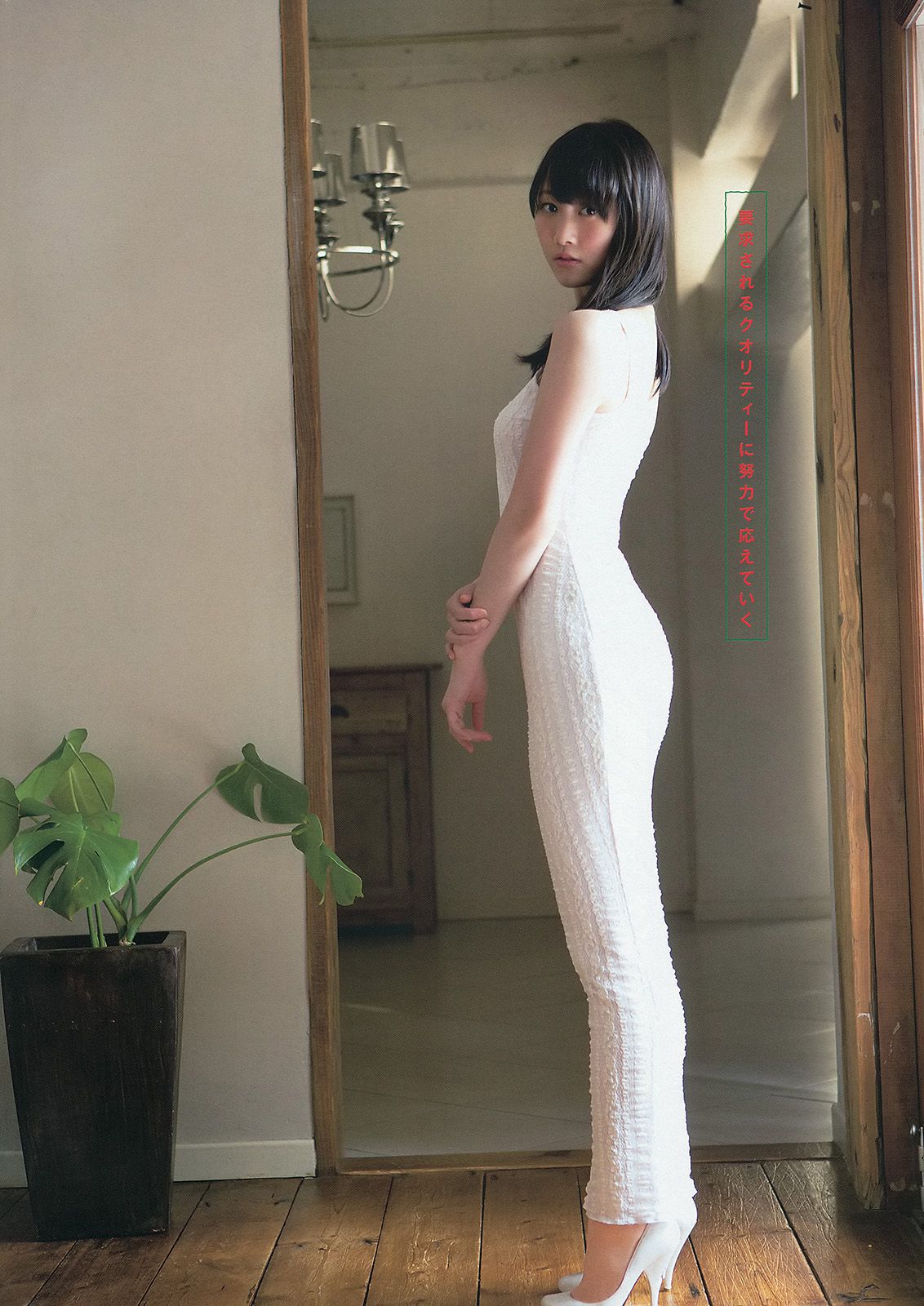 松井玲奈 柴田阿弥 二村春香 [Young Animal] 2014年No.02 写真杂志