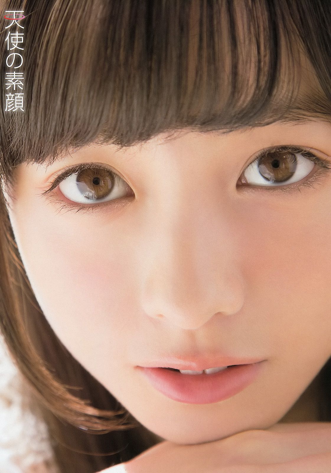 橋本環奈 秋山美穂 四宮なぎさ [Young Animal] 2014年No.08 写真杂志