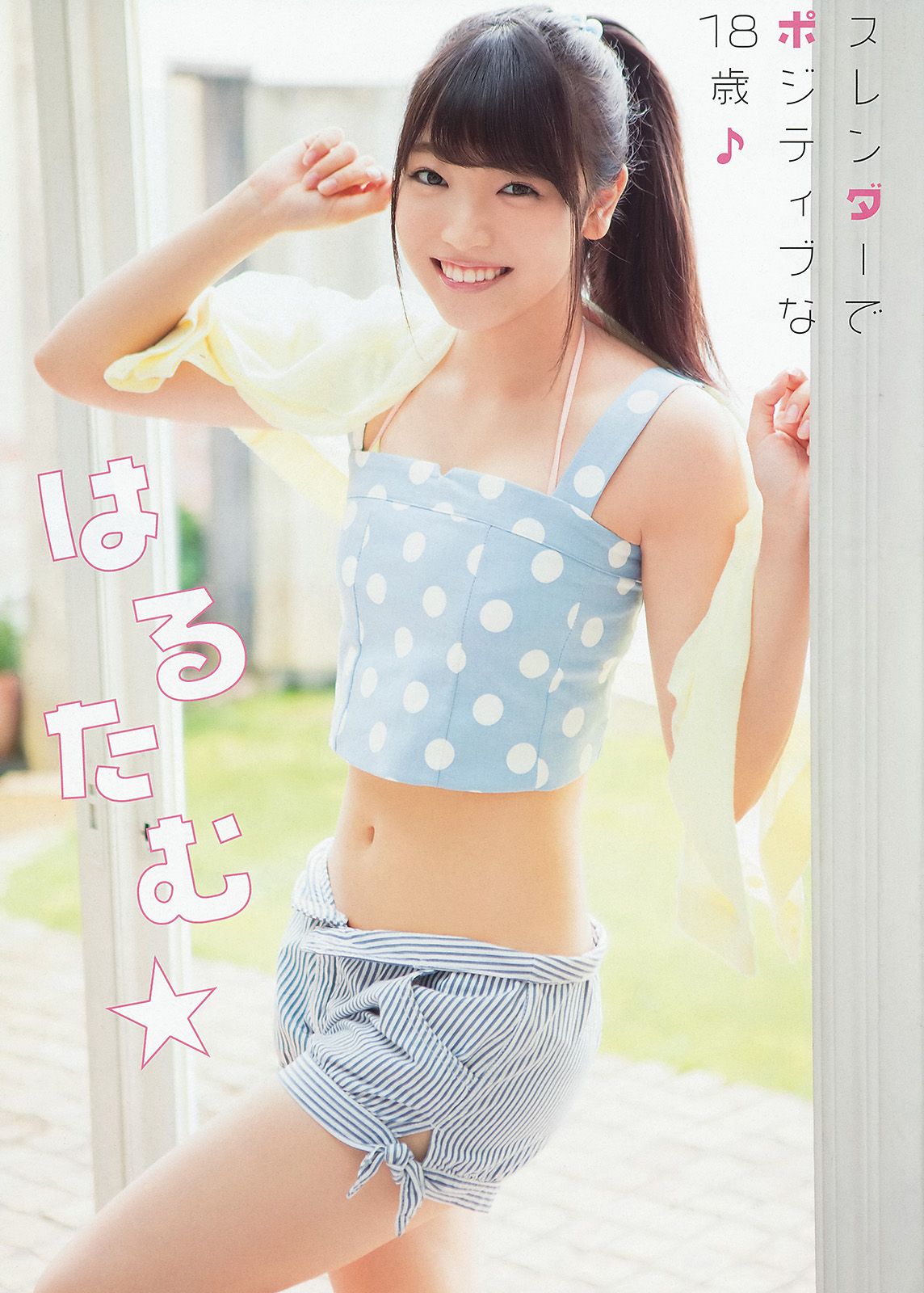 松井珠理奈 二村春香 竹内舞 古畑奈和 松村香織 [Young Animal] 2014年No.16 写真杂志