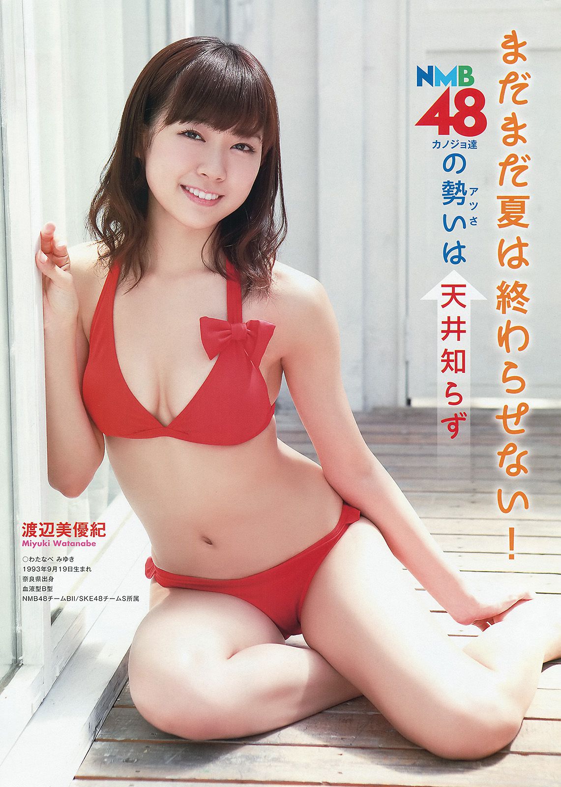 NMB48 吉田朱里 上西恵 渡辺美優紀 矢倉楓子 山本彩 室加奈子 [Young Animal] 2014年No.17 写真杂志