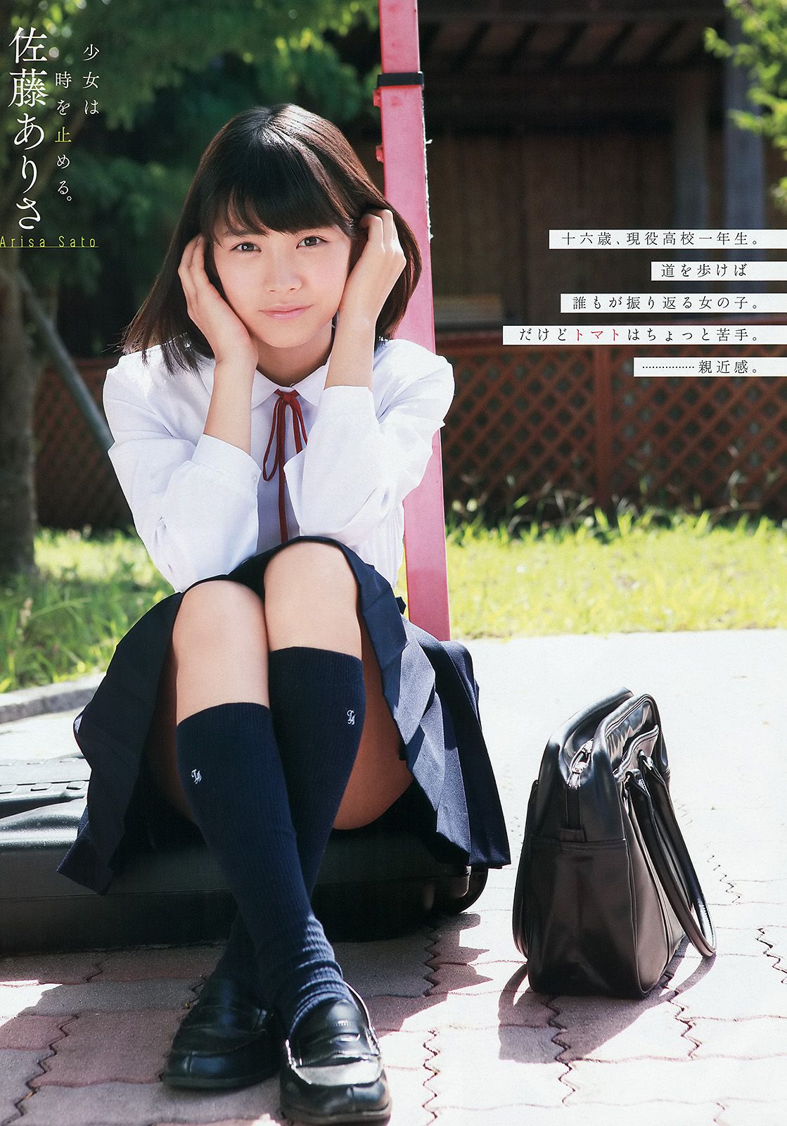 仙石みなみ 佐藤ありさ 久松かおり 天木じゅん 澤田夏生 ゆうみ [Young Animal] 2014年No.22 写真杂志