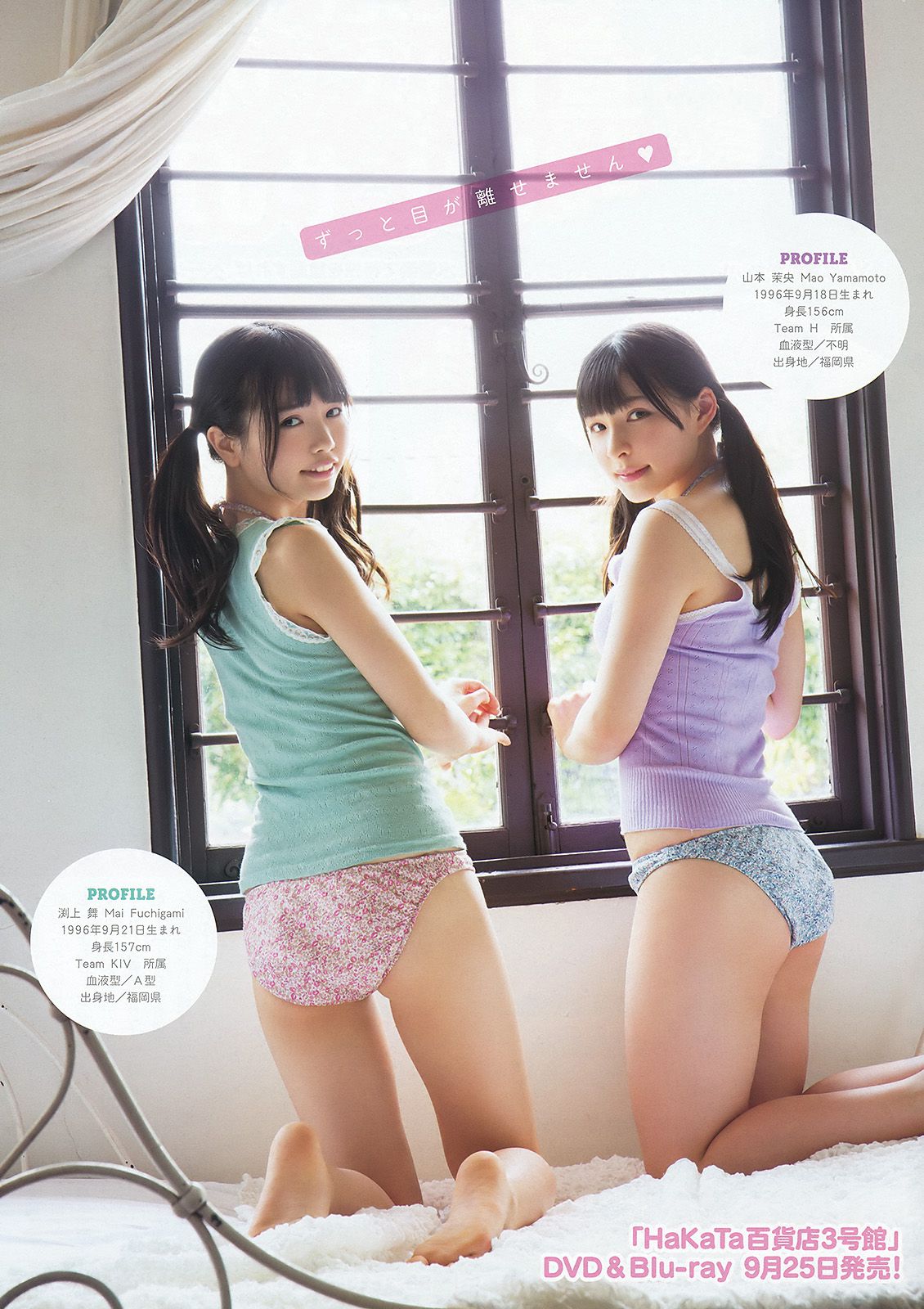 宮脇咲良 山本茉央 渕上舞 [Young Animal] 2015年No.17 写真杂志