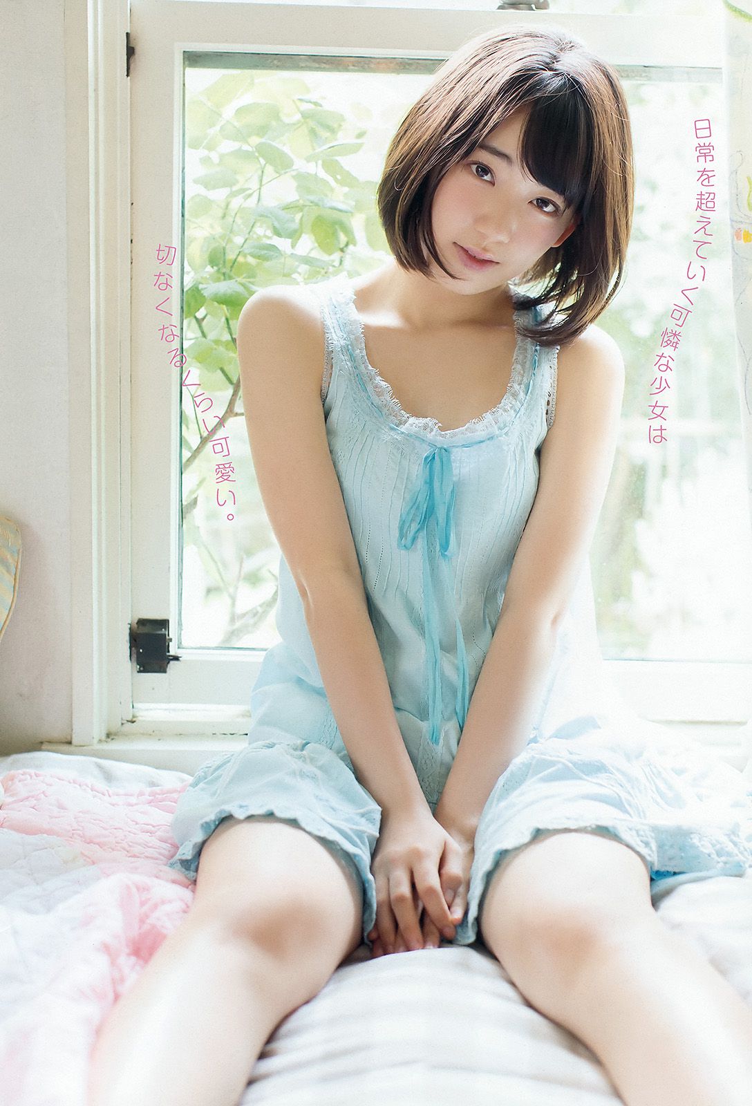 宮脇咲良 山本茉央 渕上舞 [Young Animal] 2015年No.17 写真杂志